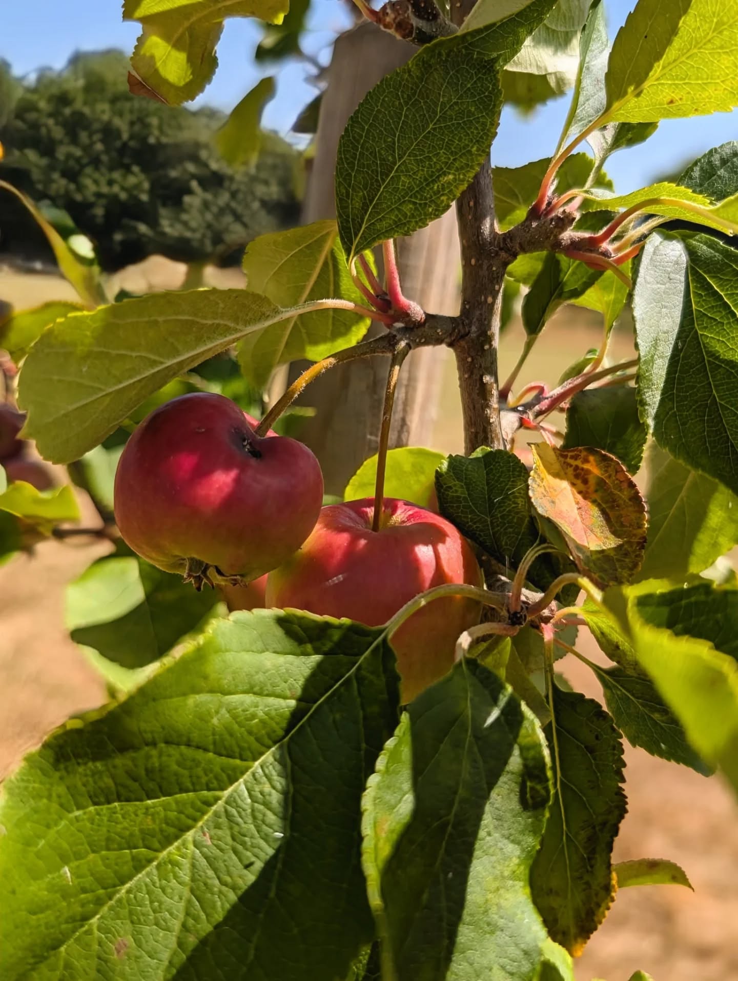 Whole Venue - 0212fff3-c221-45e5-8555-05172d36e417.jpg