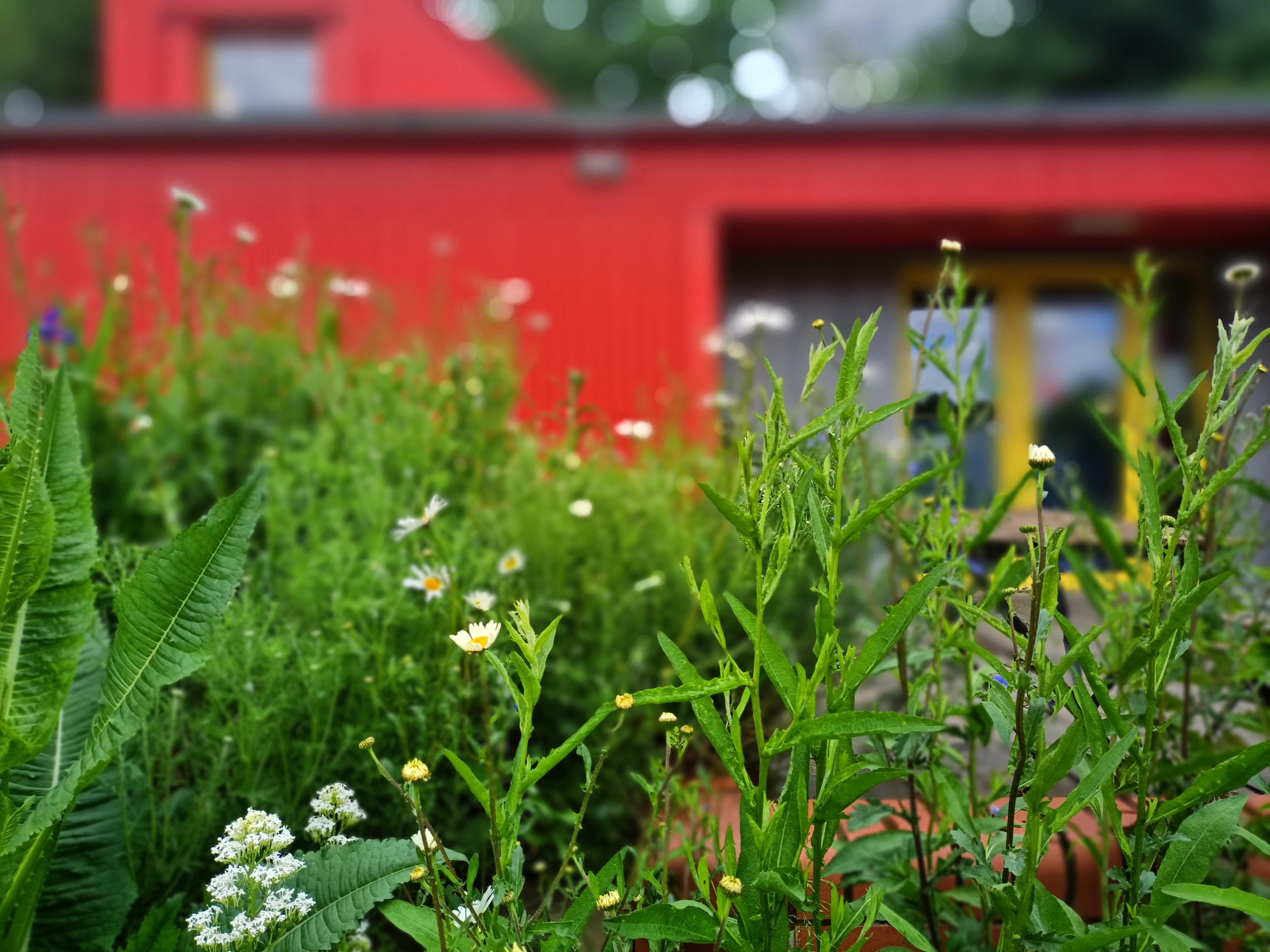 Whole Venue - 16e93cd7-3f95-49e4-8e80-6eb0a6d06b29.jpg