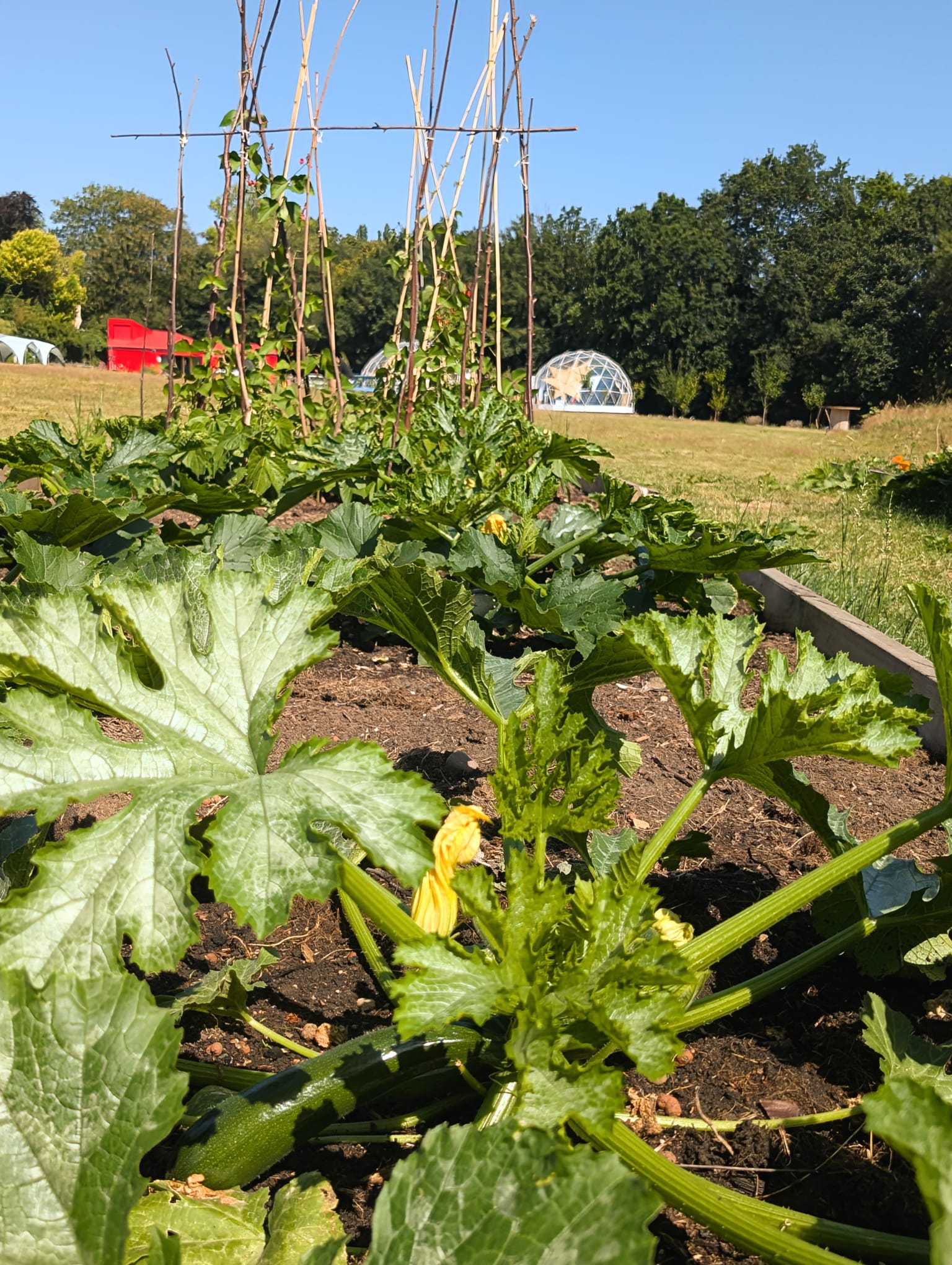 Whole Venue - 17927d8b-fcd3-42de-932d-15d3b2ee7d0c.jpg