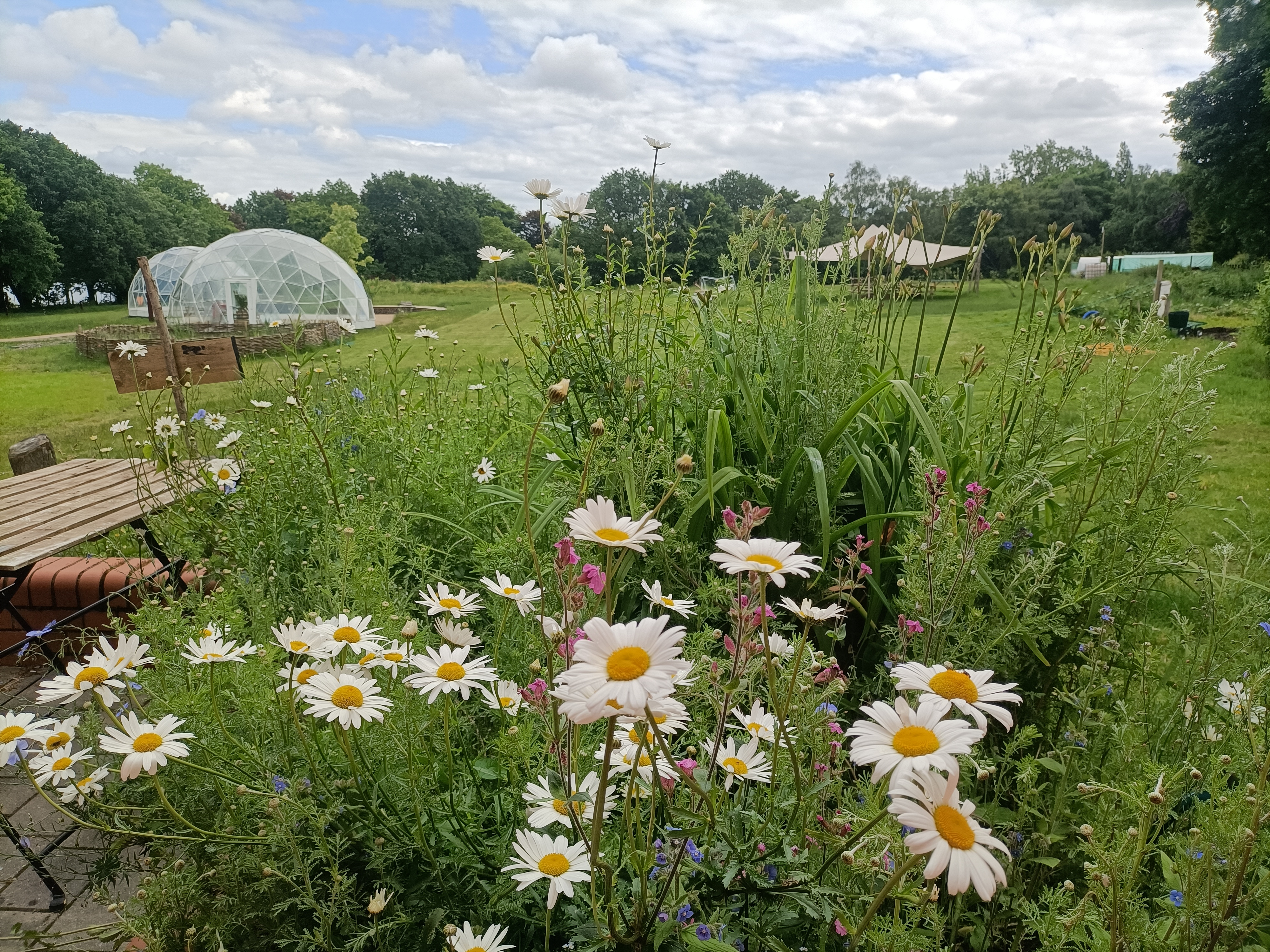 Whole Venue - efa949a4-e7fe-4e3f-94be-17a9db2e5972.jpg