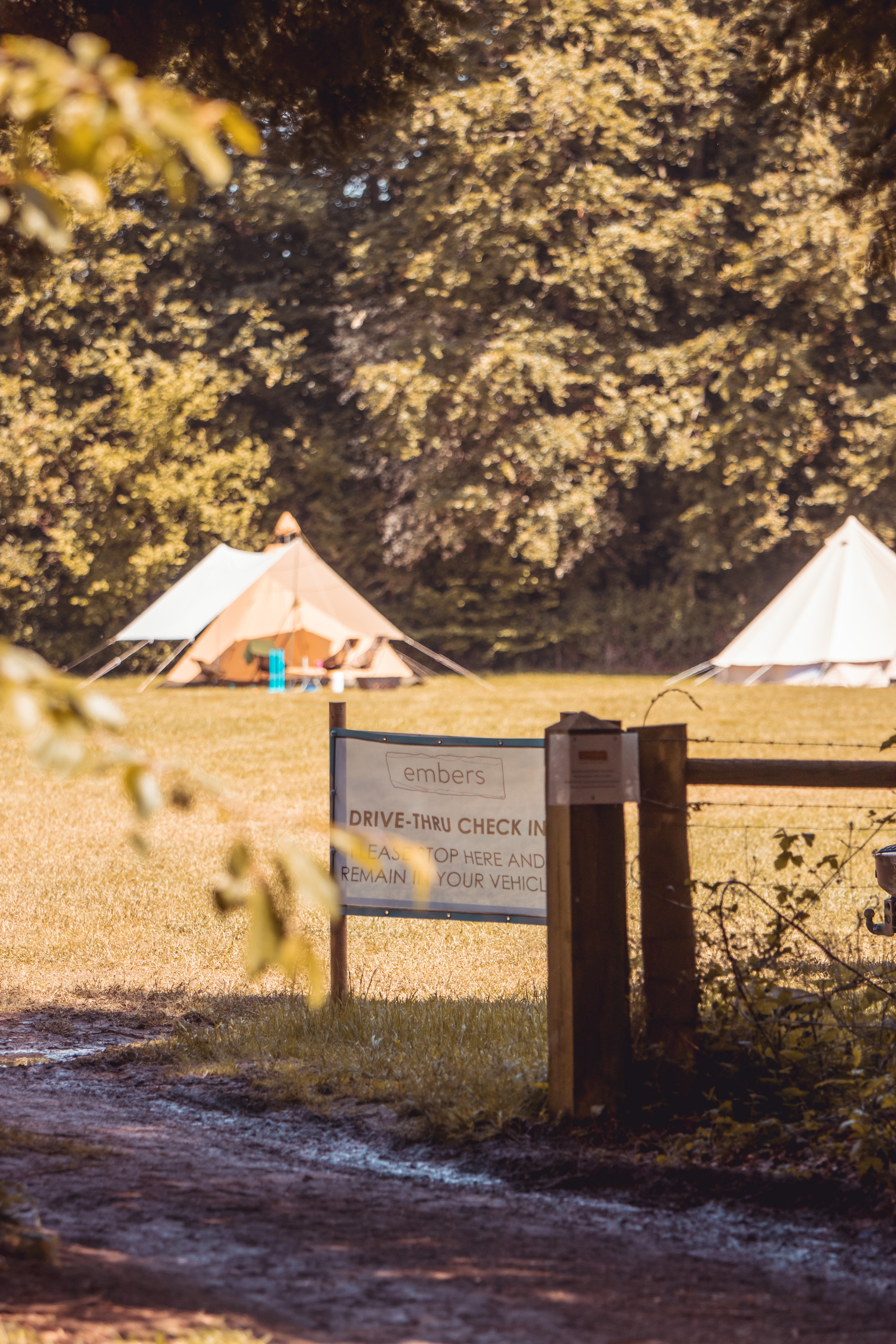 Embers Camping Polesden Lacey - image 5