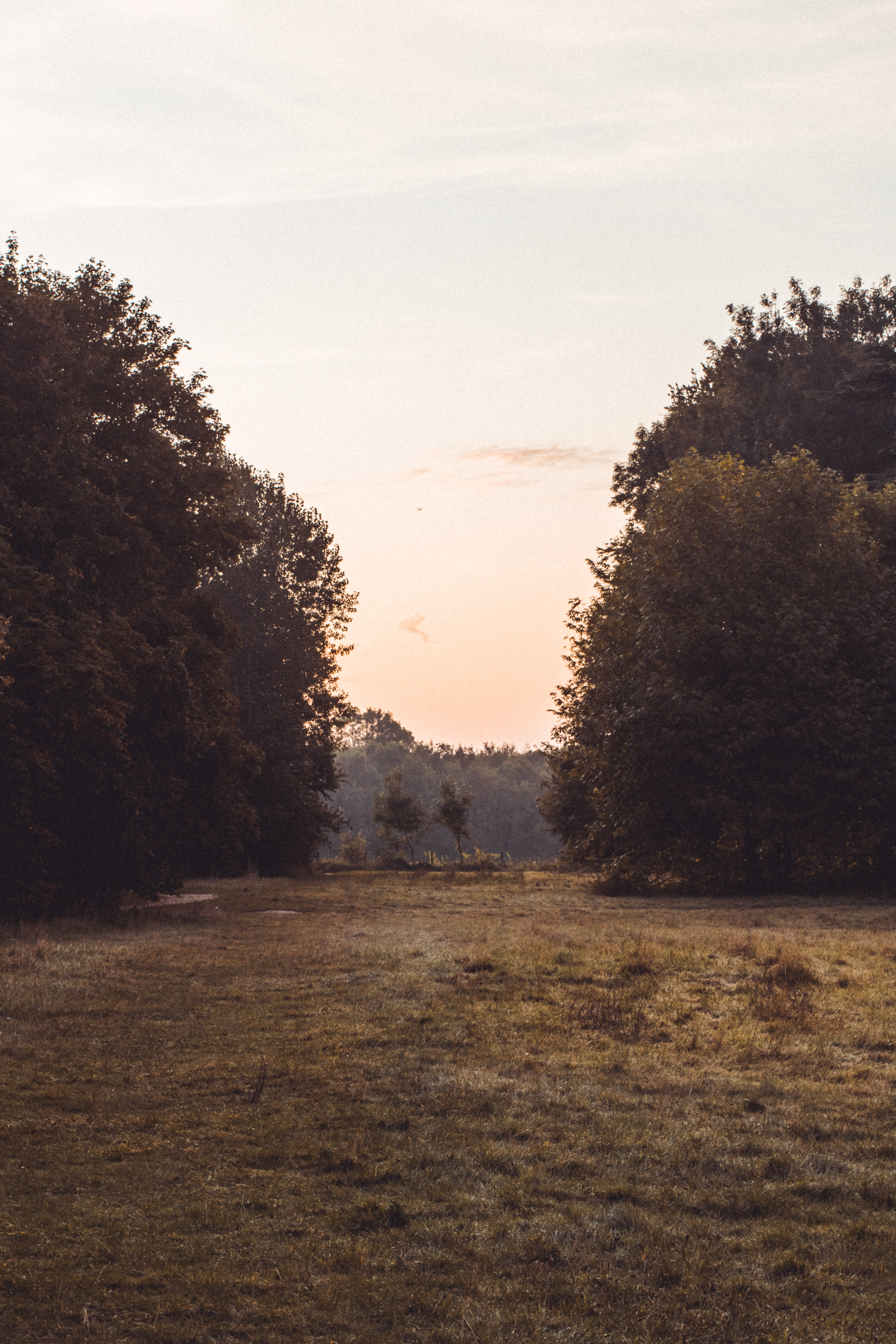 Embers Camping Polesden Lacey - image 2