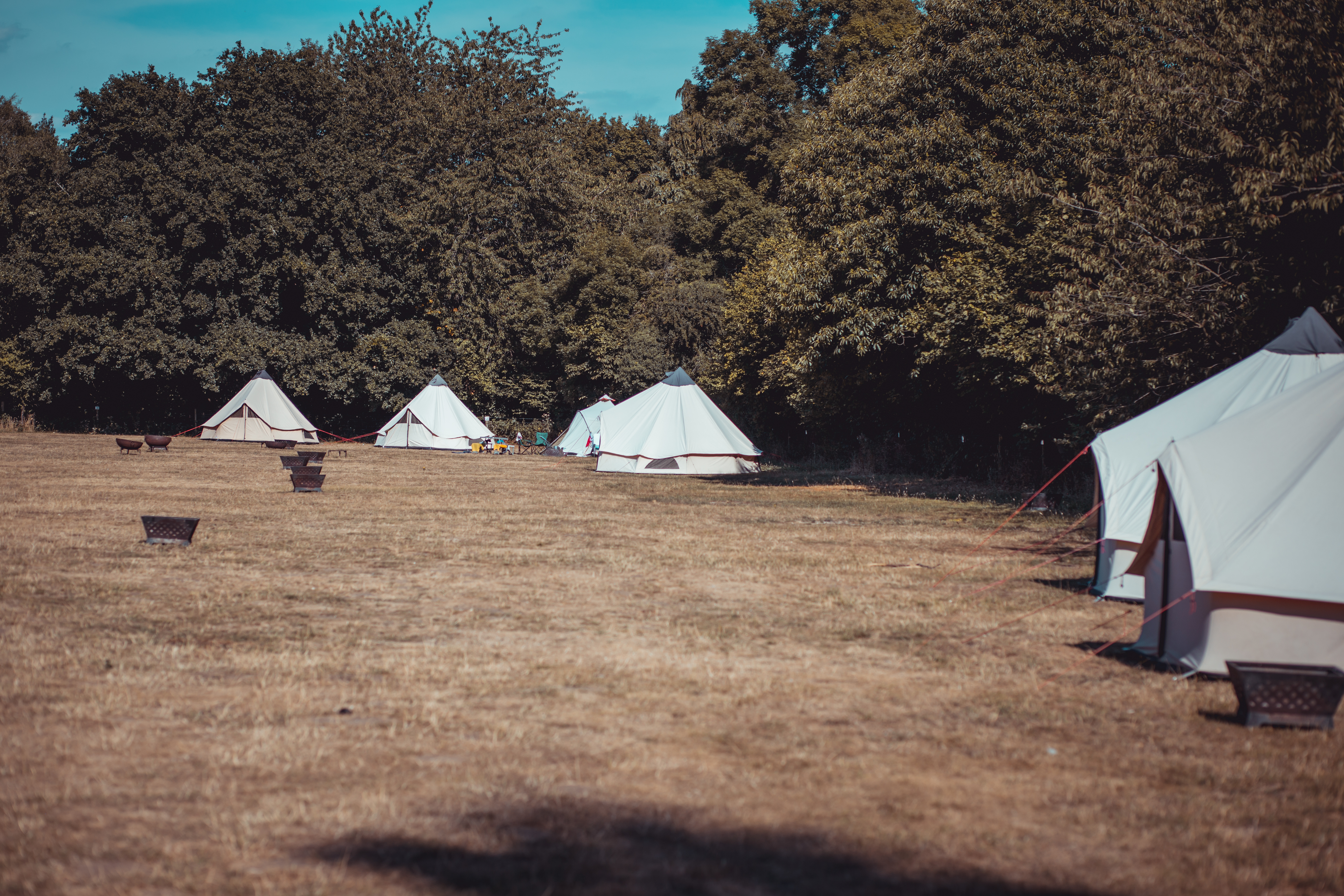 Embers Camping Polesden Lacey - image 8