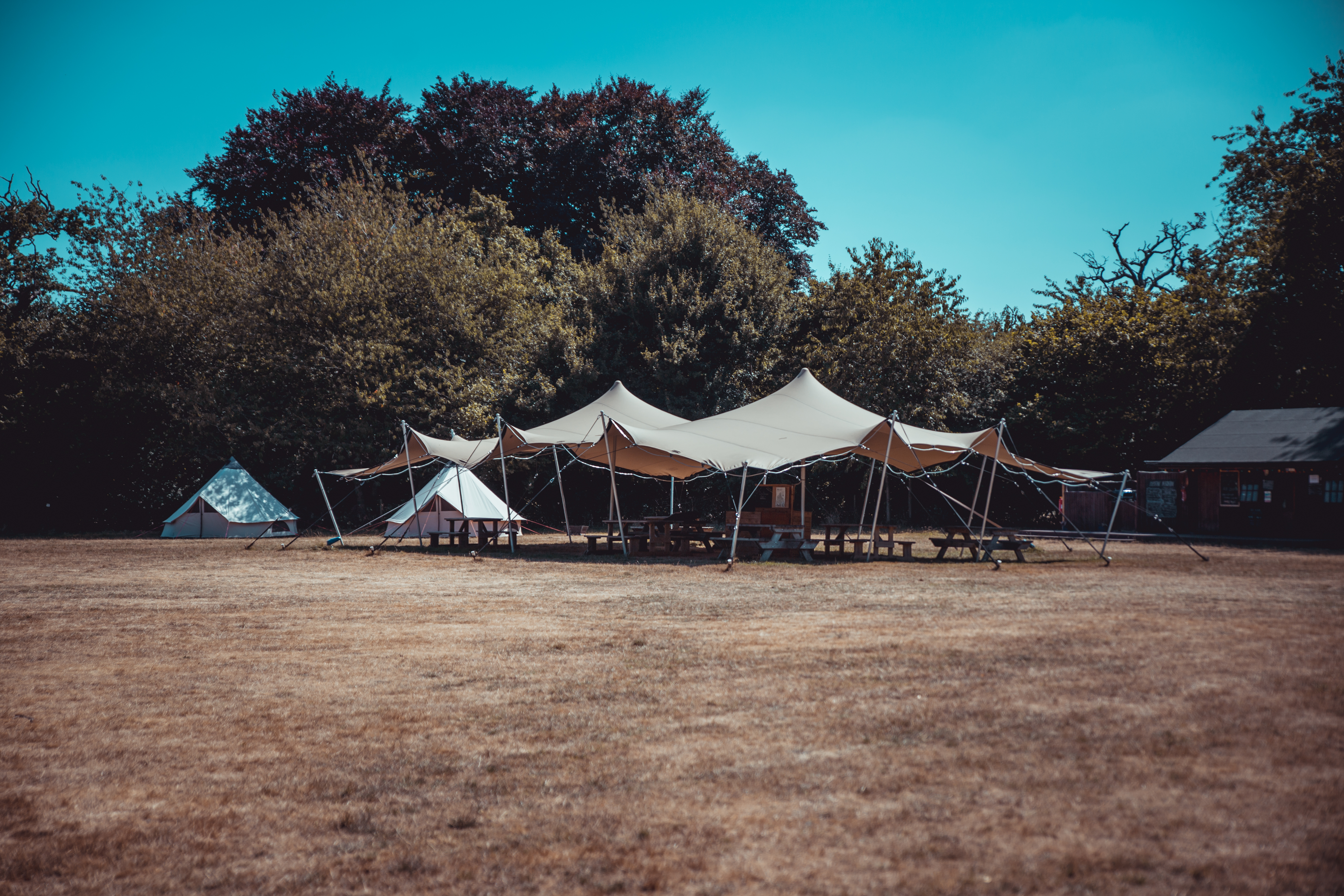 Embers Camping Polesden Lacey - image 9