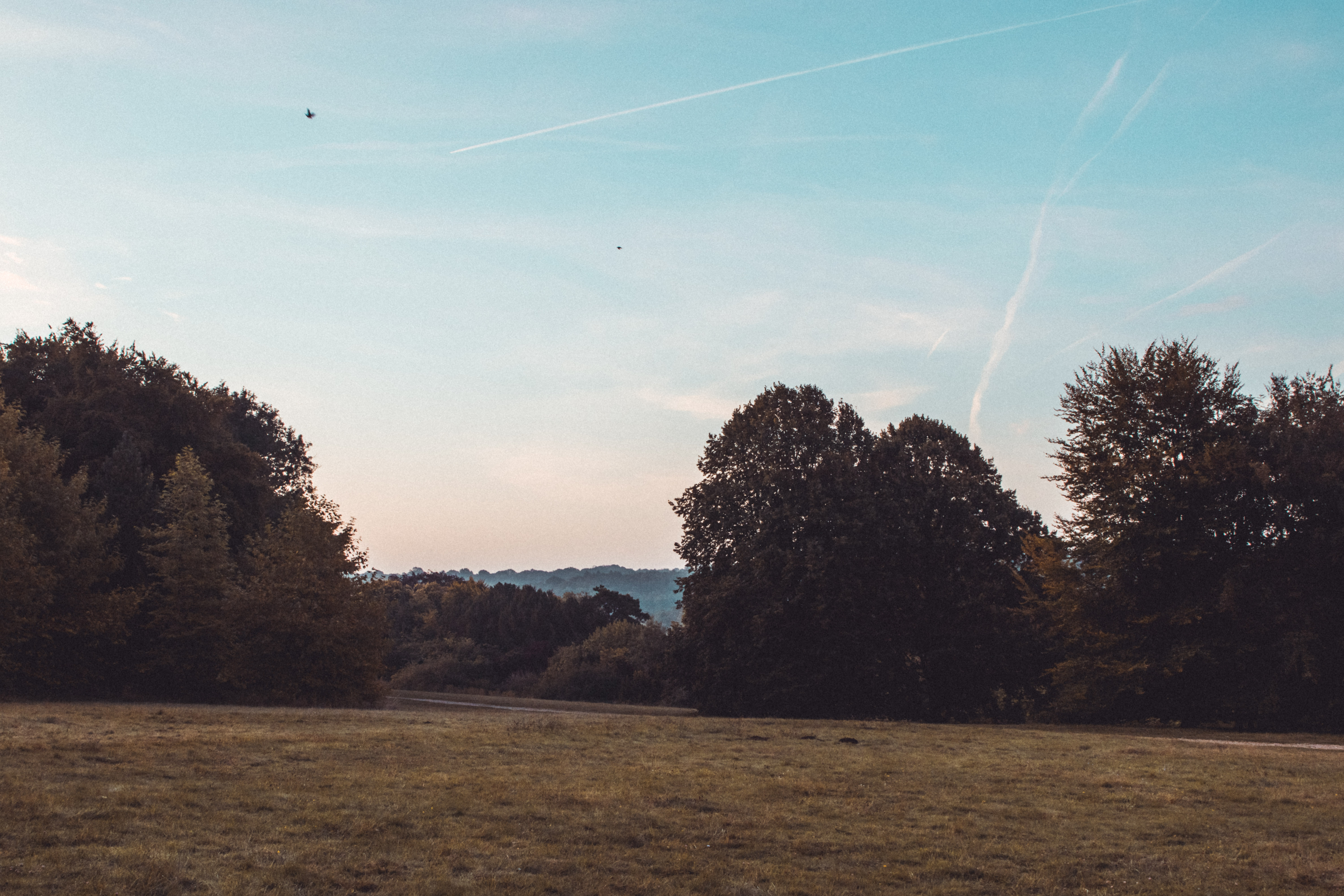 Embers Camping Polesden Lacey - image 3