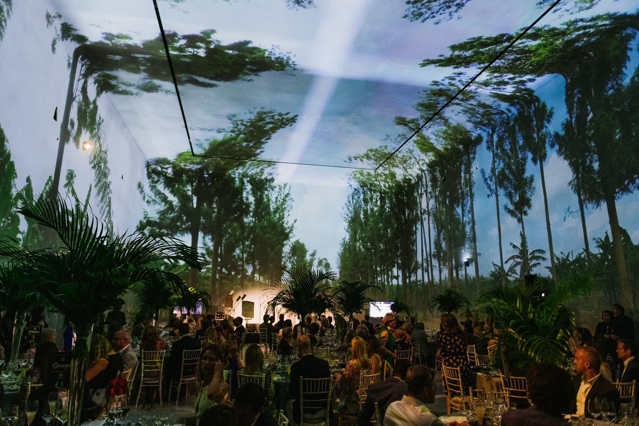 Beyond Reality - jvlmhs3apo3.jpg