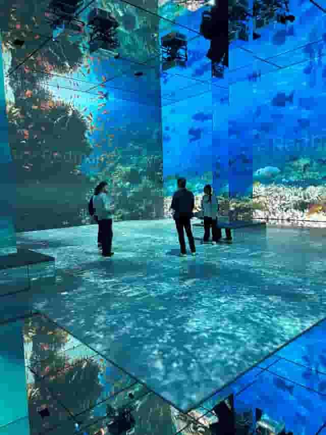 Frameless