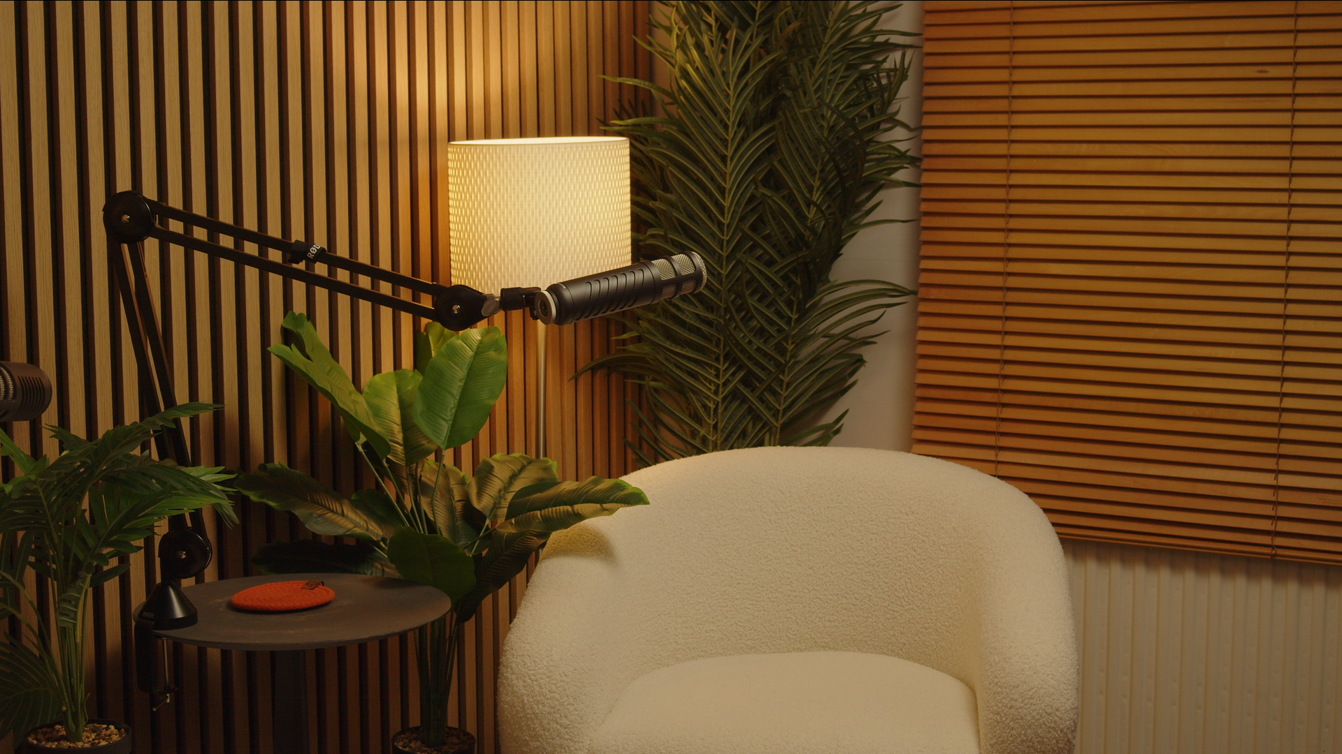 Cozy podcast studio with microphone setup for virtual events and interviews in West Digital Studios