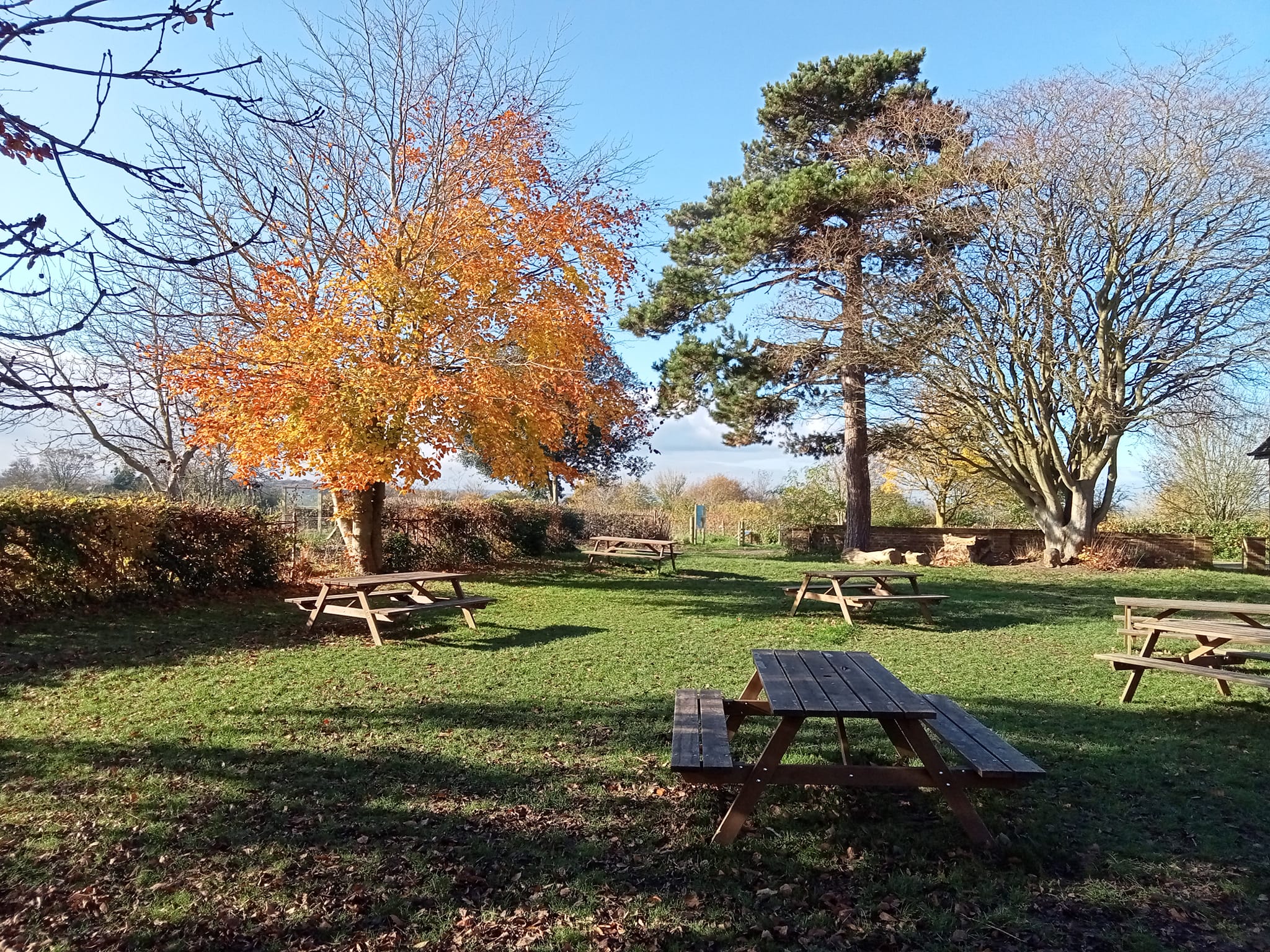 Barn - 87ed4196-e53c-4cc6-bb93-6581cf2edd13.jpg