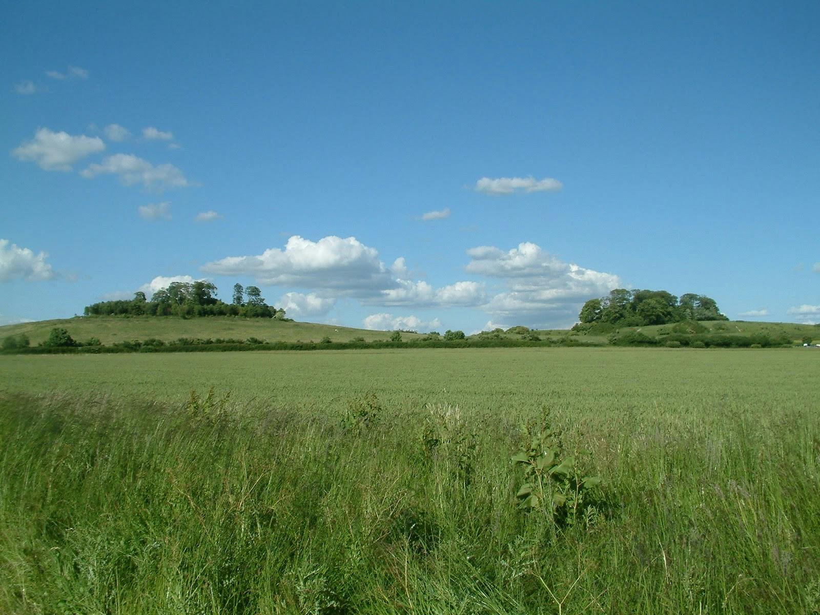 Serene Earth Trust courtyard with rolling hills, ideal for outdoor corporate events.