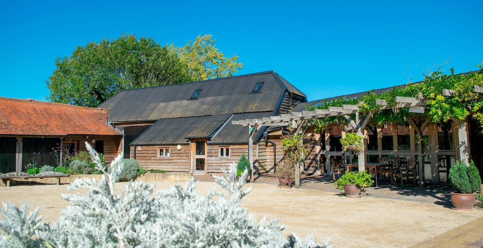 Earth Trust - >Earth Trust</a>