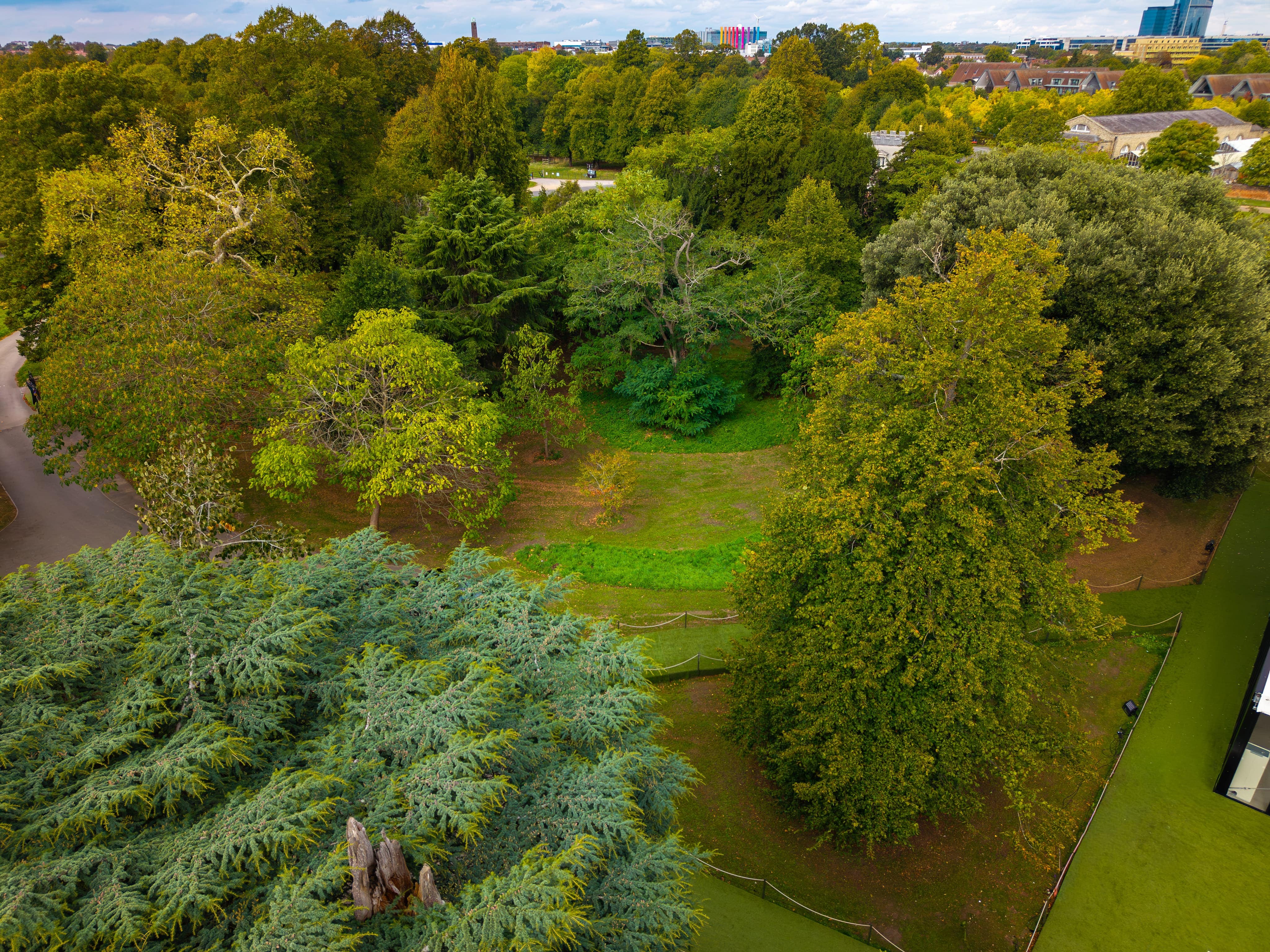 Lush green landscape at The Clementine, ideal for outdoor team-building events and workshops.