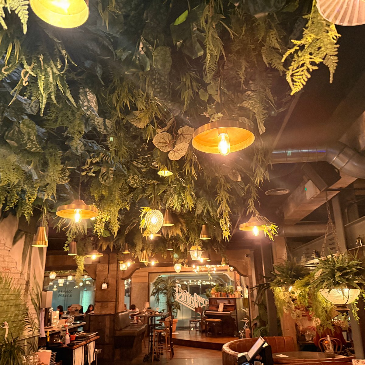 Area Hire at The Botanist Exeter: Lush greenery and warm lighting for perfect events.