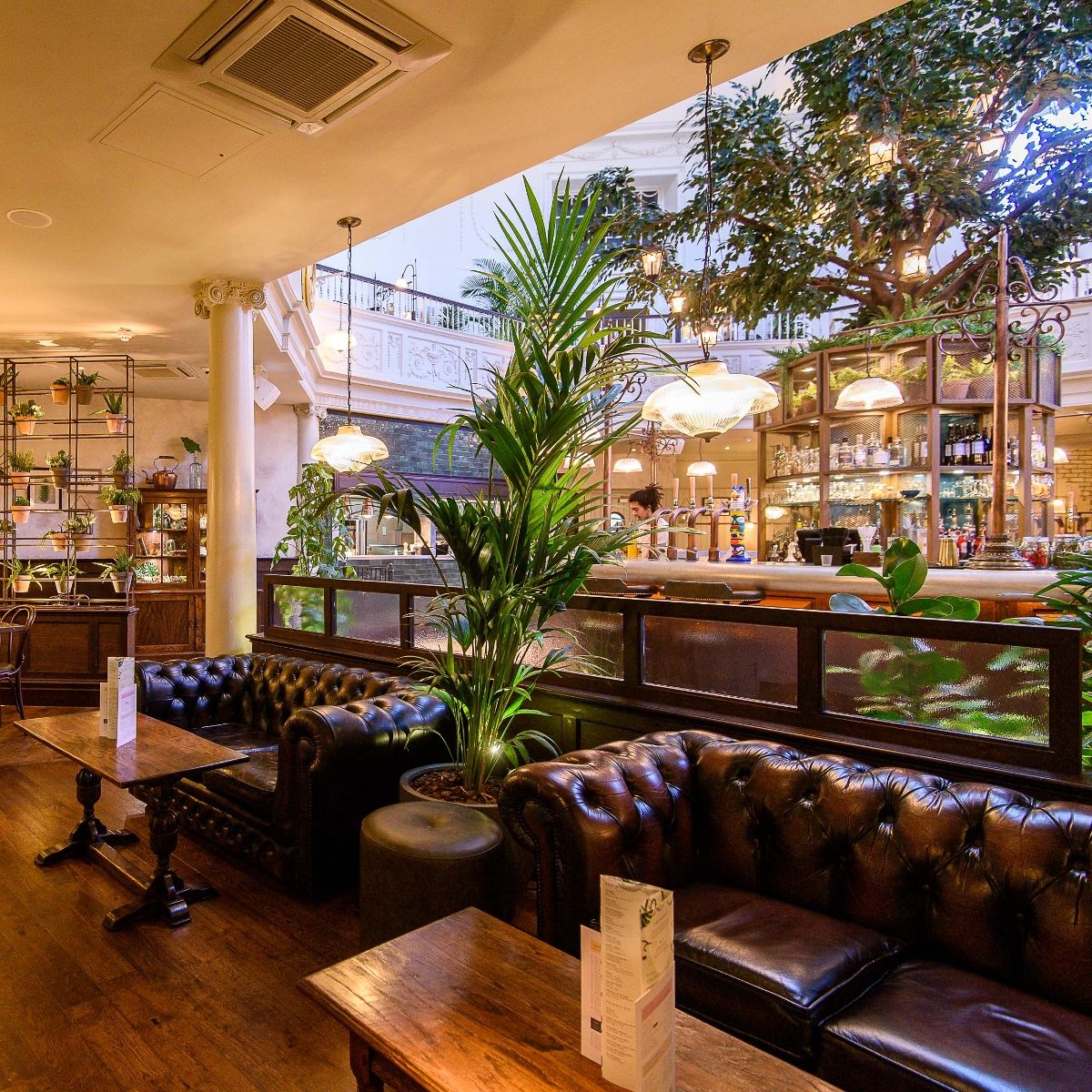 Inviting venue at The Botanist Exeter, ideal for networking events and meetings.
