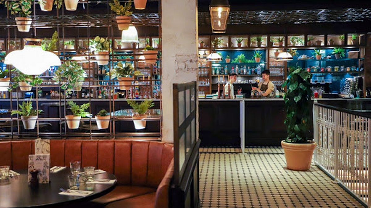 Area Hire - f7aa247f-d8a1-4591-816e-80d34d66ef8b.webp