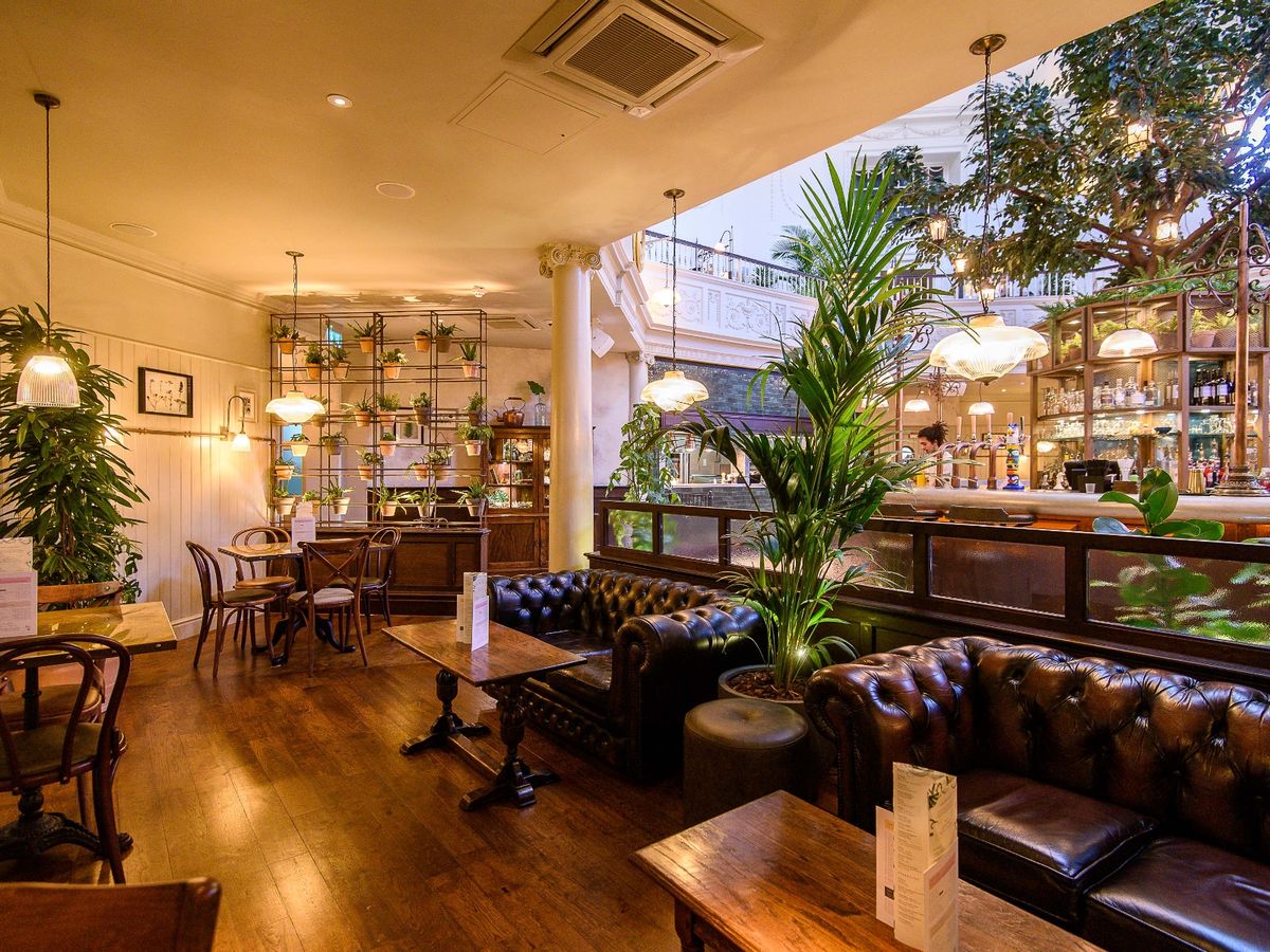 Elegant event venue in The Botanist Exeter with cozy lighting and greenery.