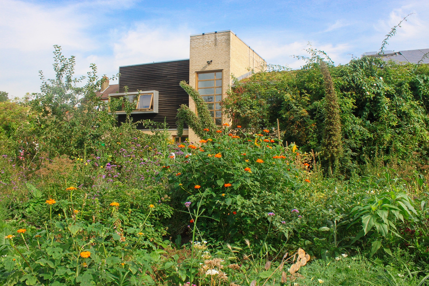 Main Hall & Gardens in Roots and Shoots: vibrant outdoor venue for workshops and team-building.