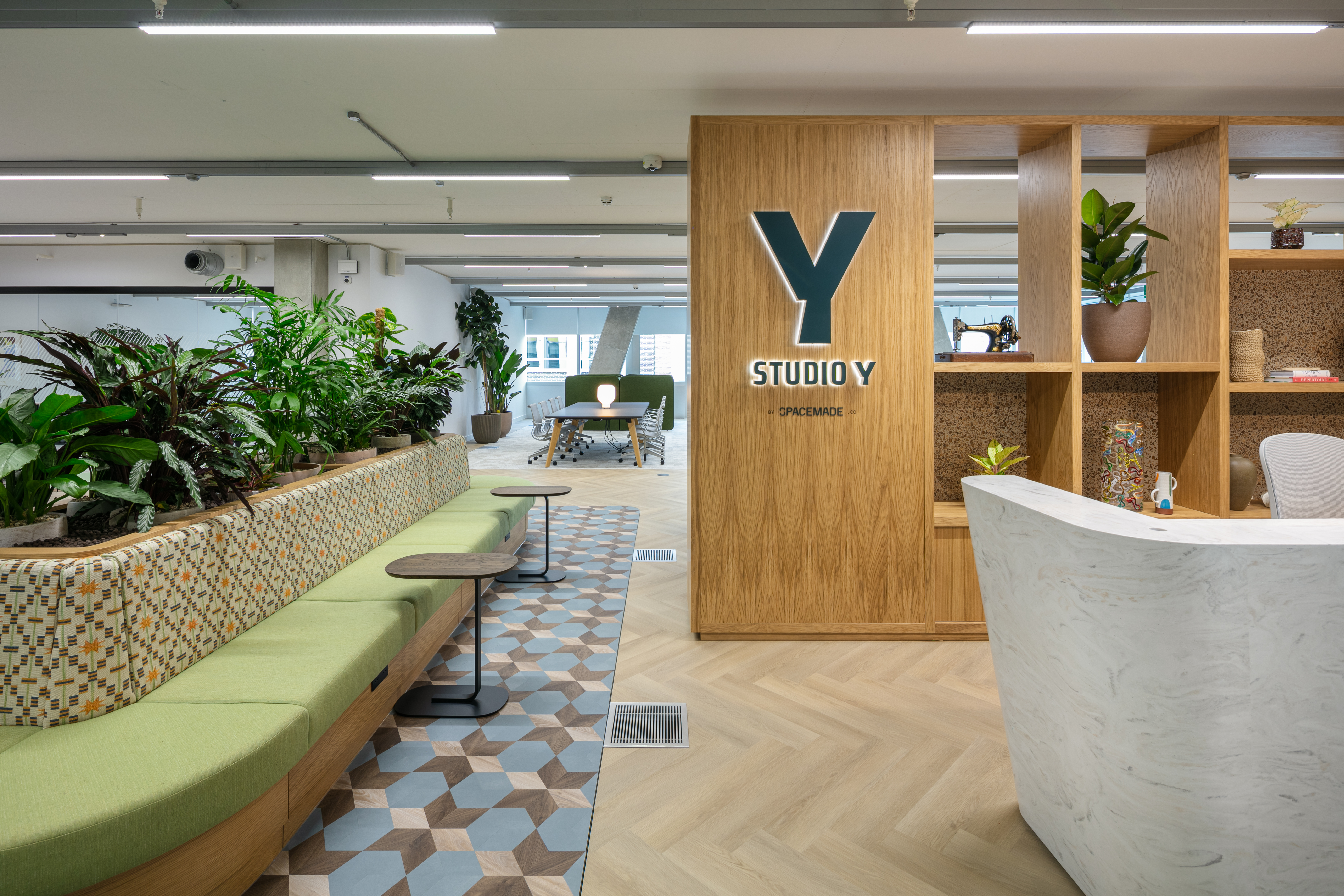Modern biophilic reception area at Studio Y, ideal for professional networking and event check-in.