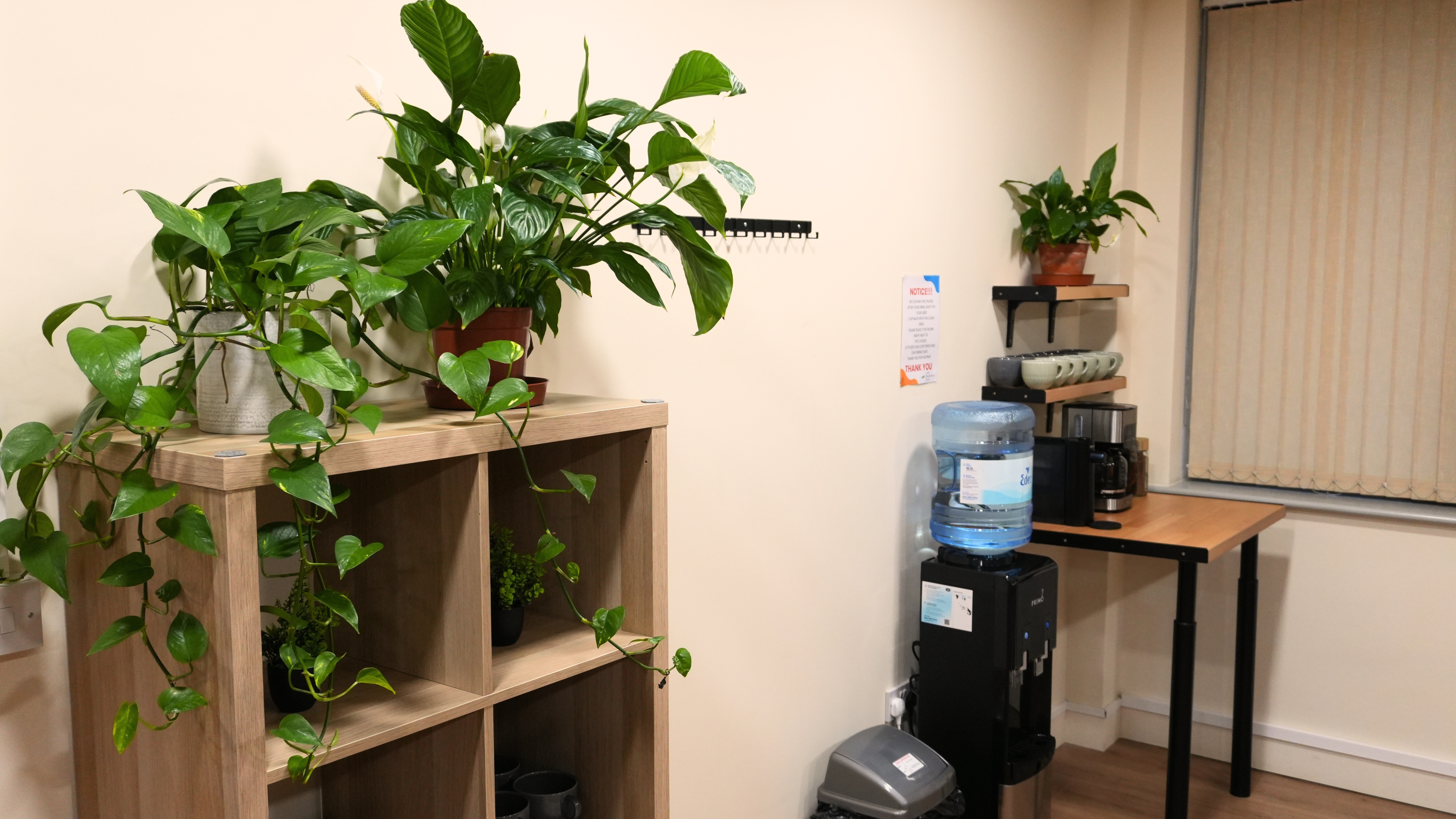 The Blue Room - 5209d096-b052-4d8a-834a-bcacc791d54f.jpg