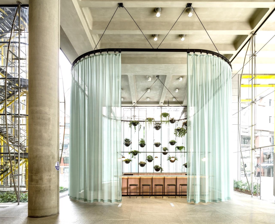 Elegant Auditorium Room with hanging plants for corporate and social events.