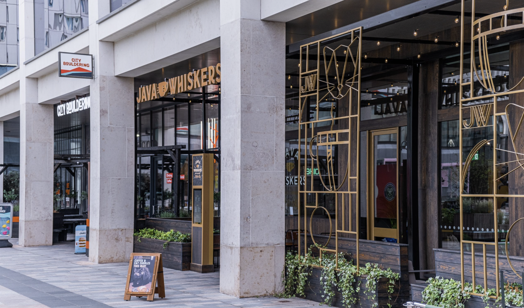 Cat Lounge at Java Whiskers: modern venue for casual gatherings and events.