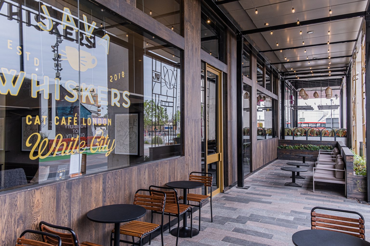 Cat & Kitten Lounges - 0ba2d158-da82-4bb8-921e-0dbeb9e9e3f3.jpg