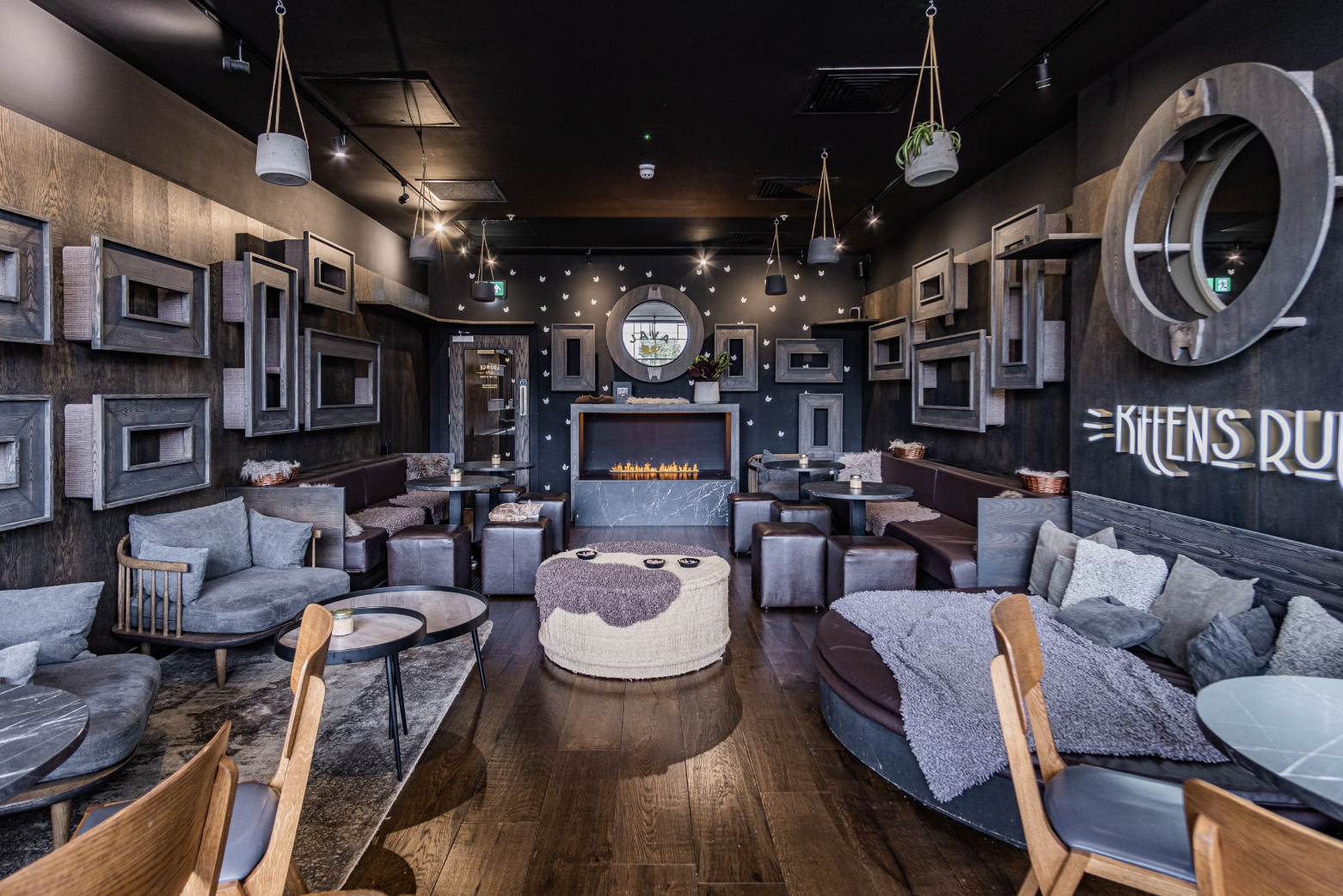 Cat Lounge at Java Whiskers with dark decor, perfect for networking events and gatherings.