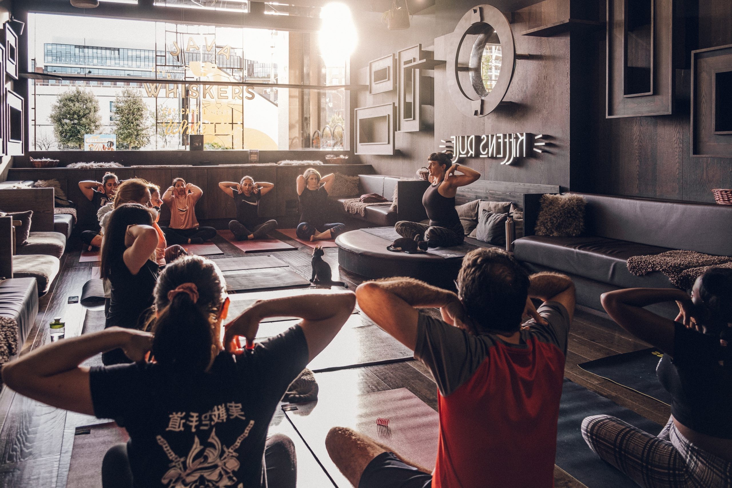 Cat & Kitten Lounges - b4e2a3b7-6eaa-4839-8c95-1ced7fa92a8e.jpg