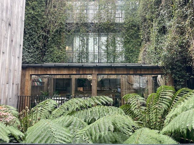 Jurema Terrace  - 907ed373-d623-4653-a523-098b0620574c.jpg