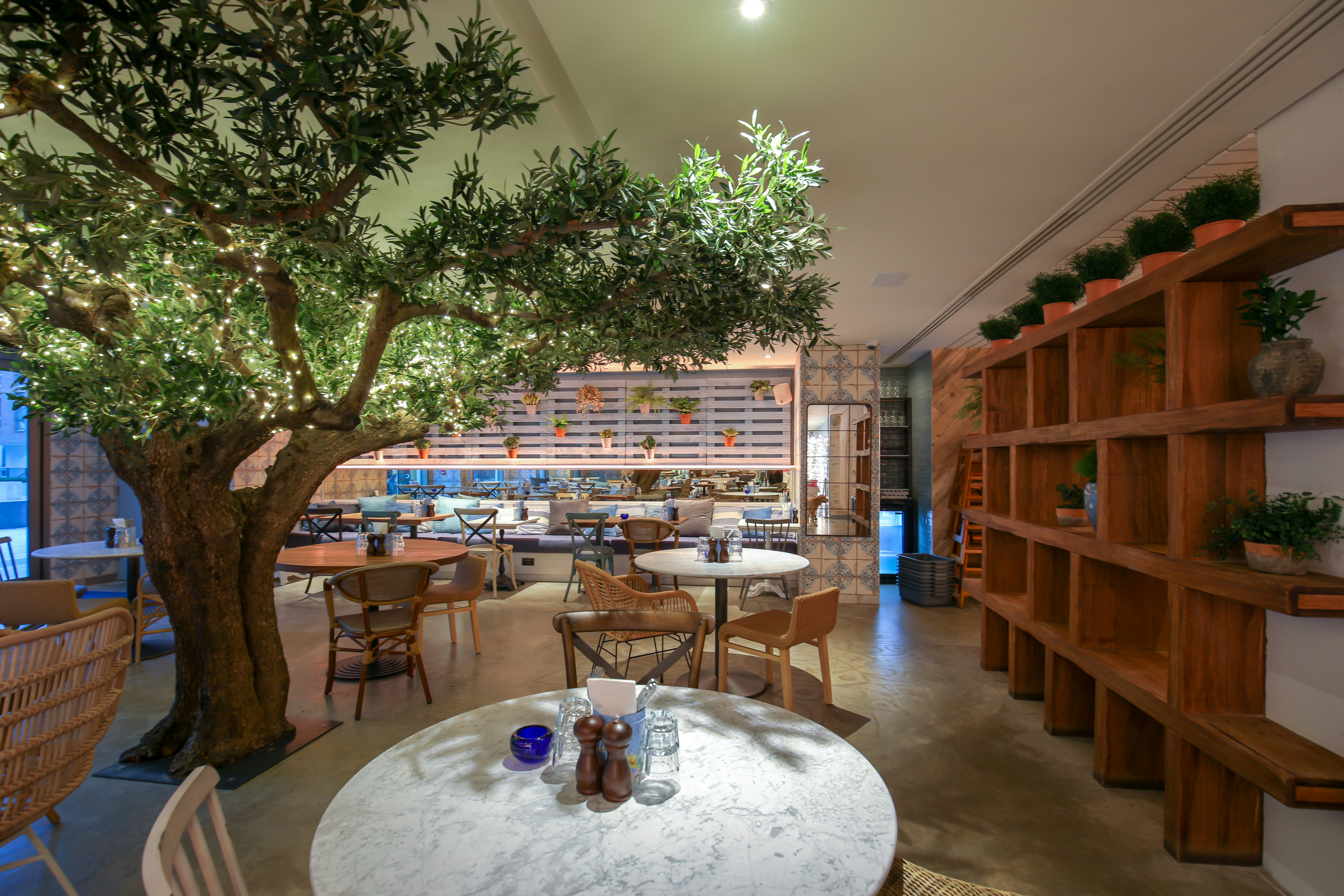 Tree Room - 2901c0d6-3886-425c-b483-7a2597c7b9e7.jpeg