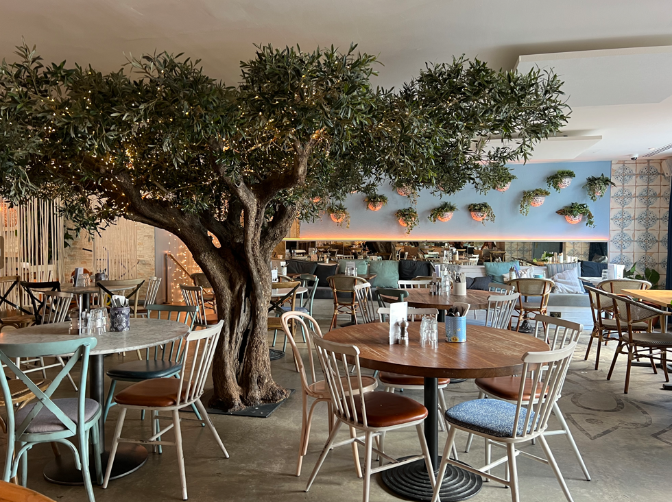 Tree Room - 4b74a1f8-537b-4be2-823a-f4f9d764a094.png