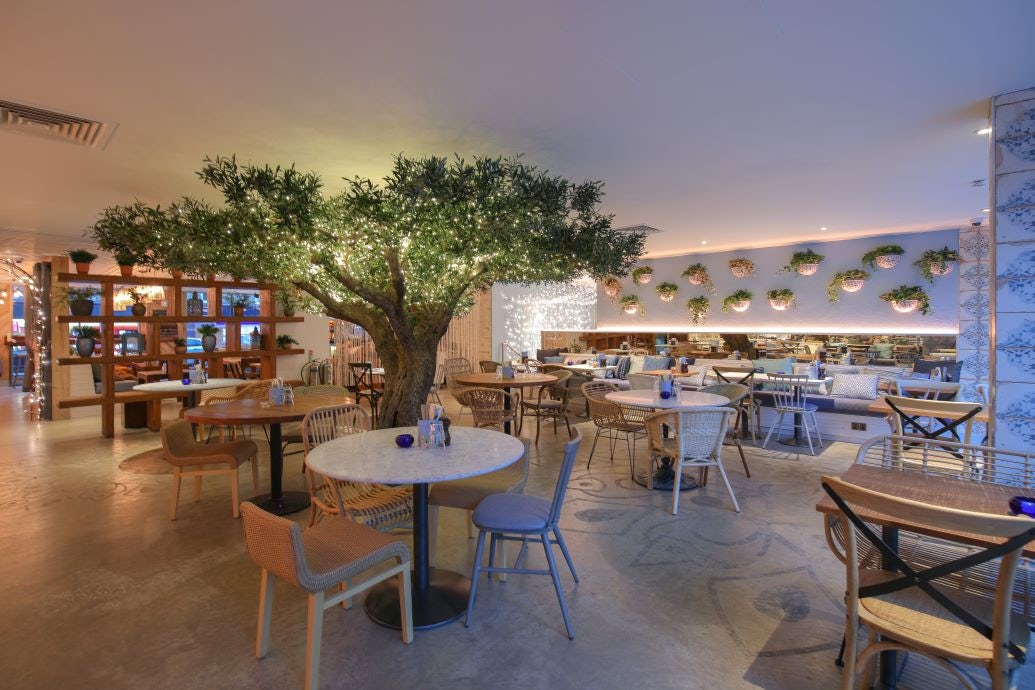 Tree Room - 680376f7-7d66-4708-b6d0-2615d8d68d1e.jpeg