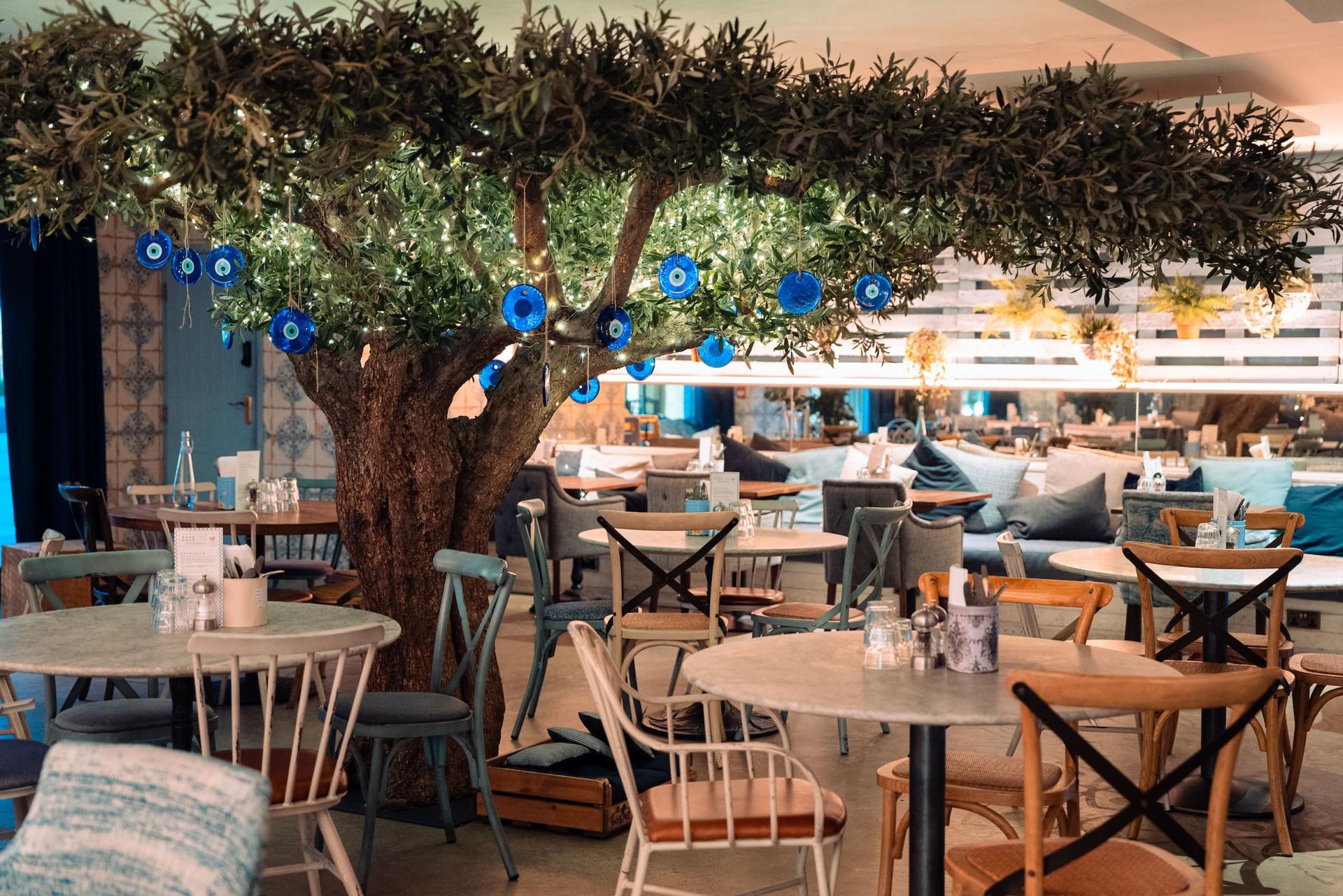 Tree Room - eb990497-b28b-4a75-b55e-b2b95a8a2f44.jpeg