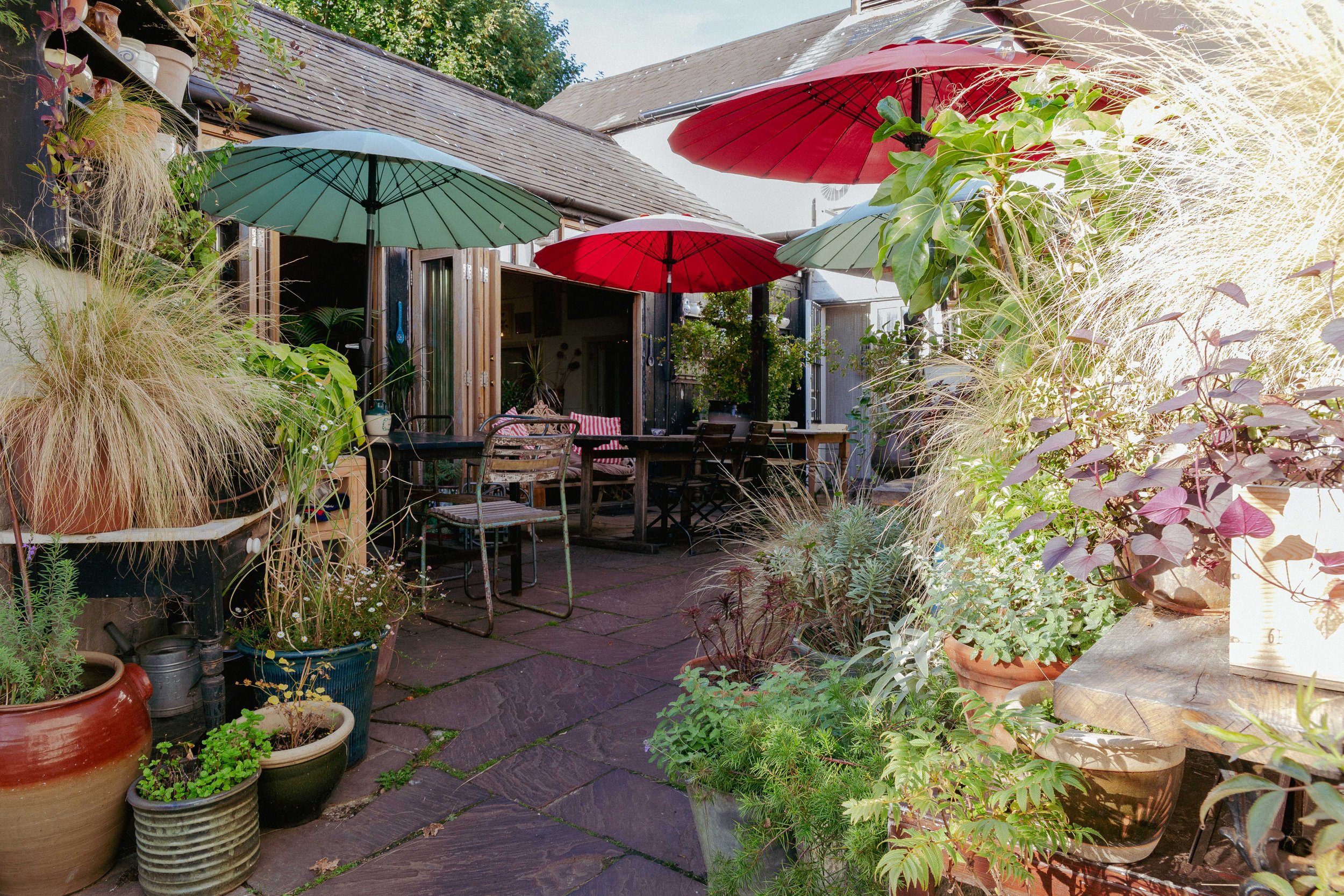 The Barn at The Punter: sun-drenched, biophilic breakout space for networking and brainstorming.