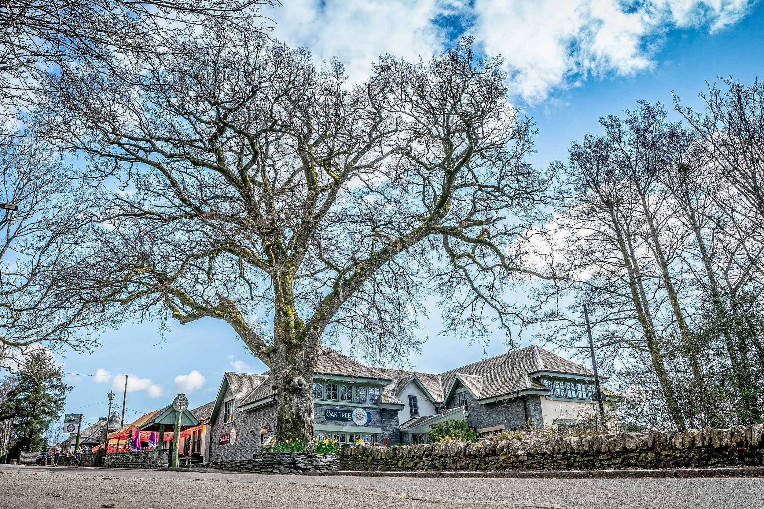 Charming Oak Tree Inn venue with large tree, perfect for outdoor events and gatherings