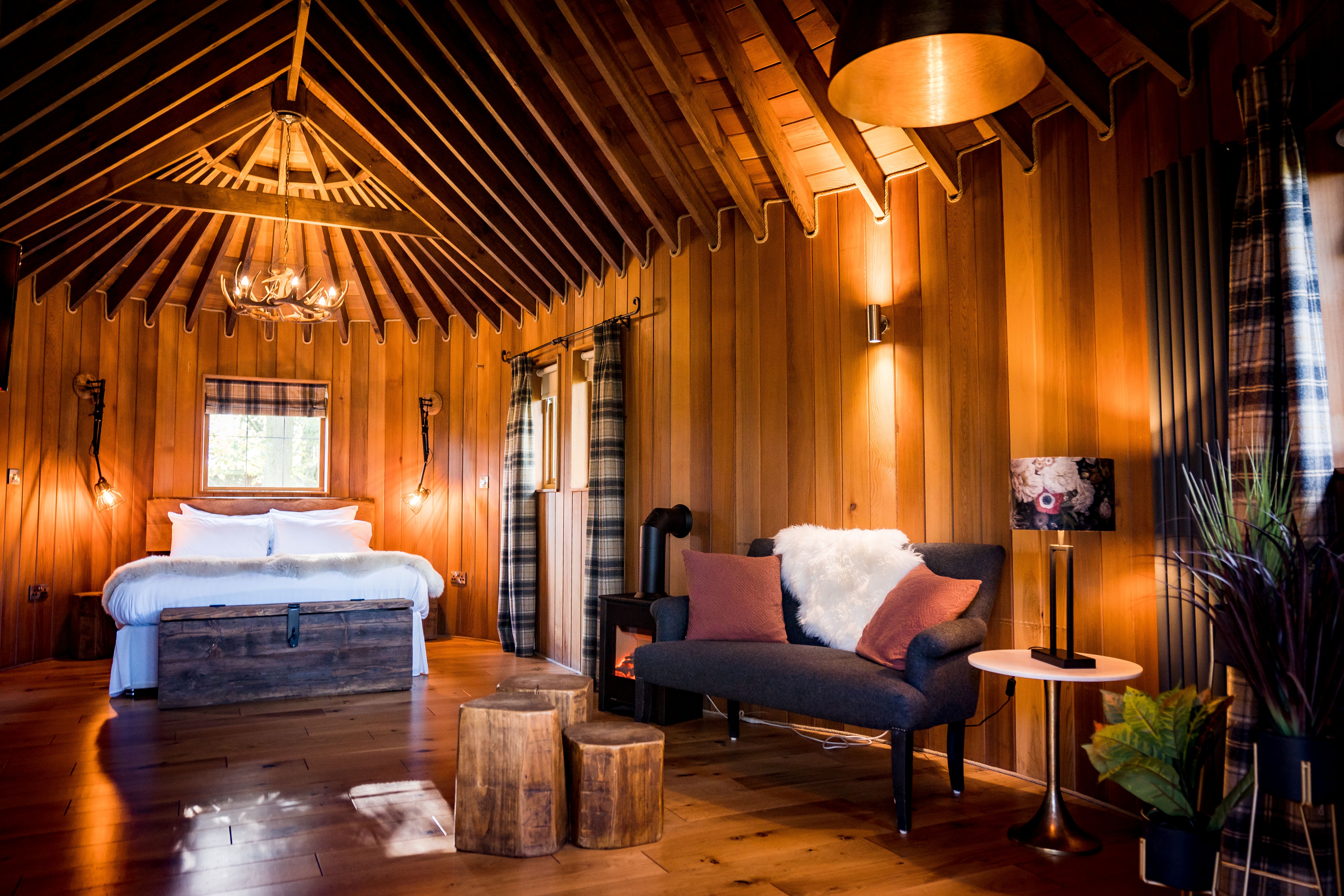 Sapwood - 301bf022-d3ef-48b6-b97d-5cda9bc4f759.jpg