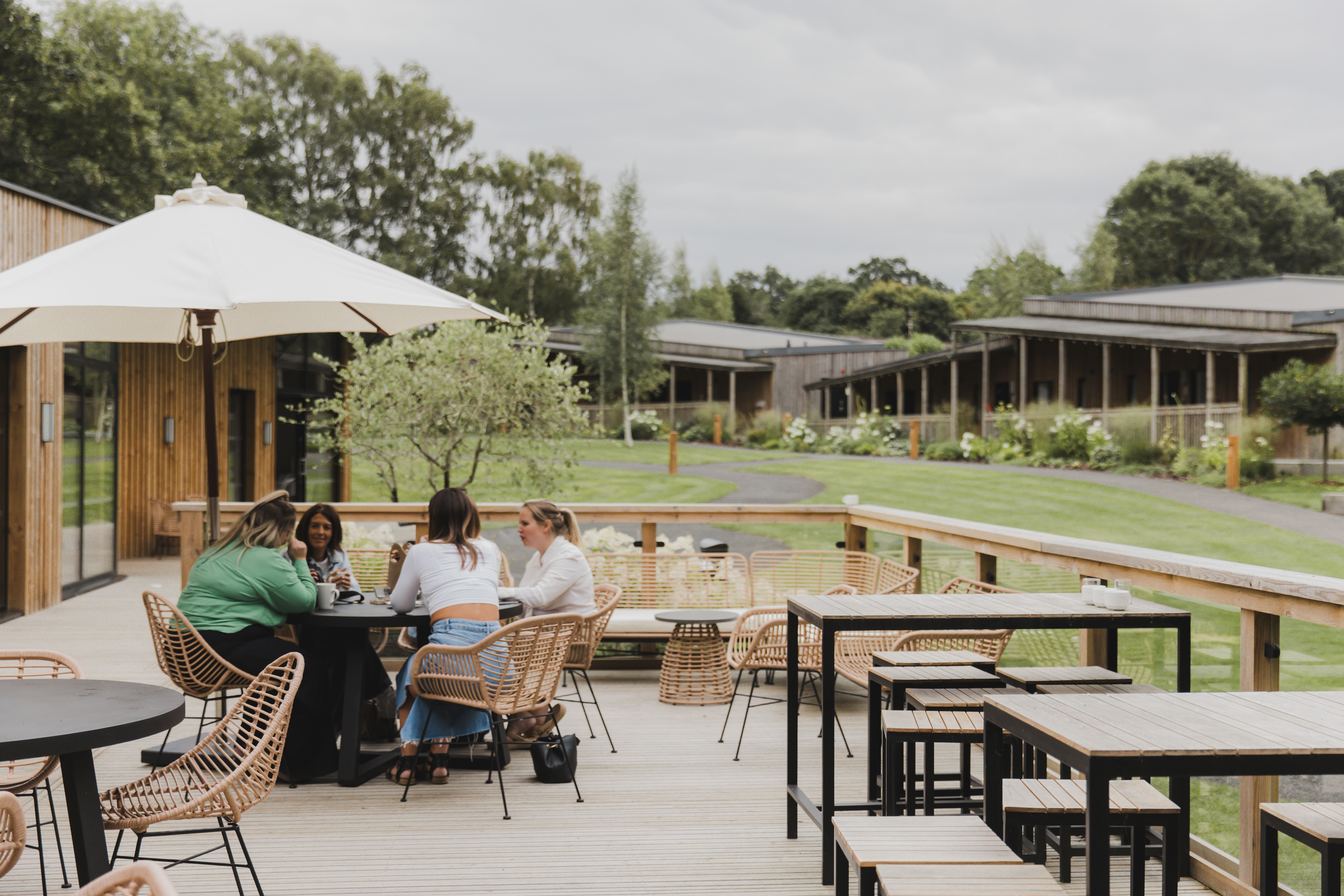 Sapwood - 321f10f4-da35-412a-bd0a-e644ac47b377.jpg