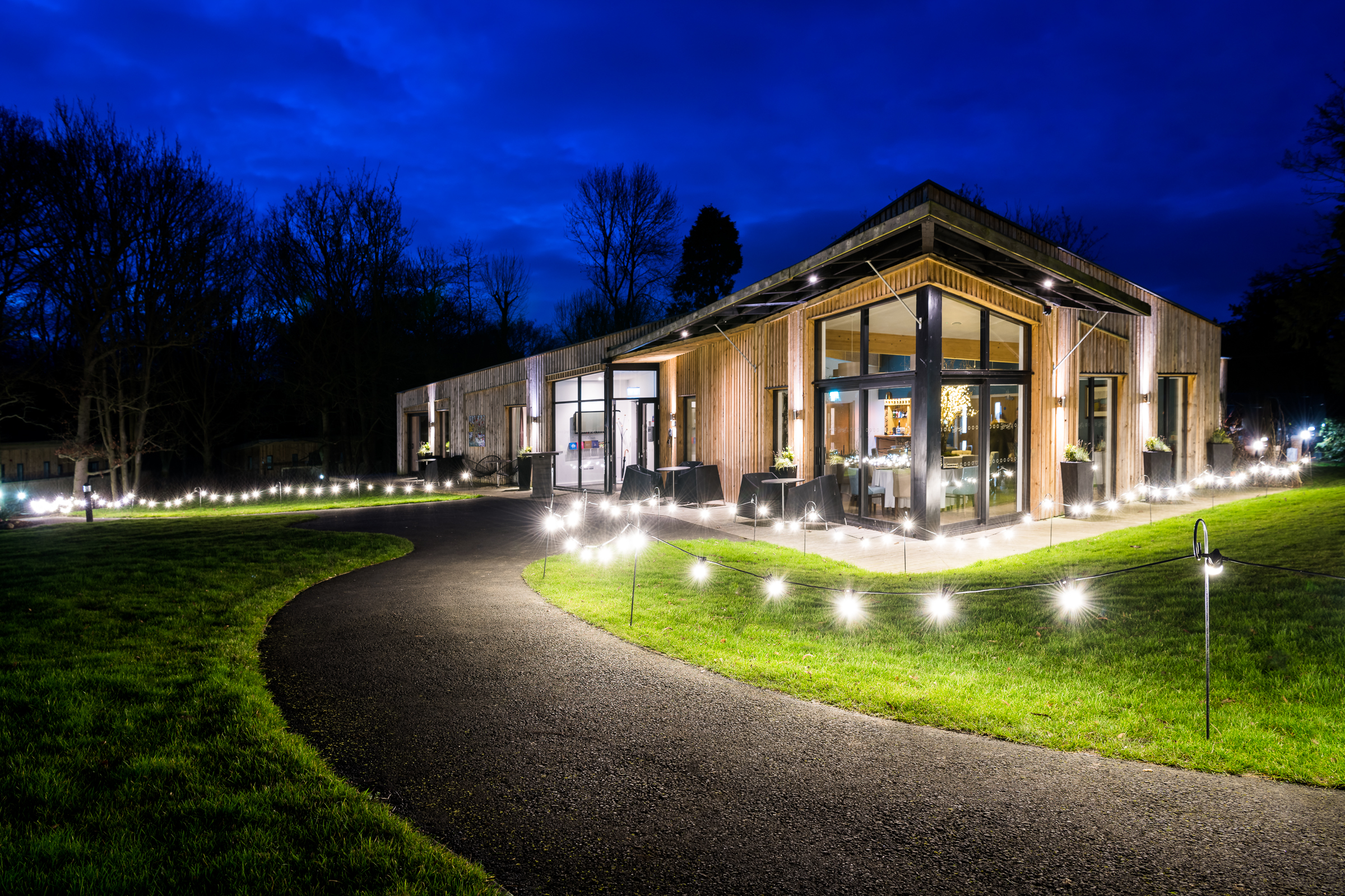 Sapwood - 36384ae0-ebc9-4778-85ea-d0cddb65ae56.jpg