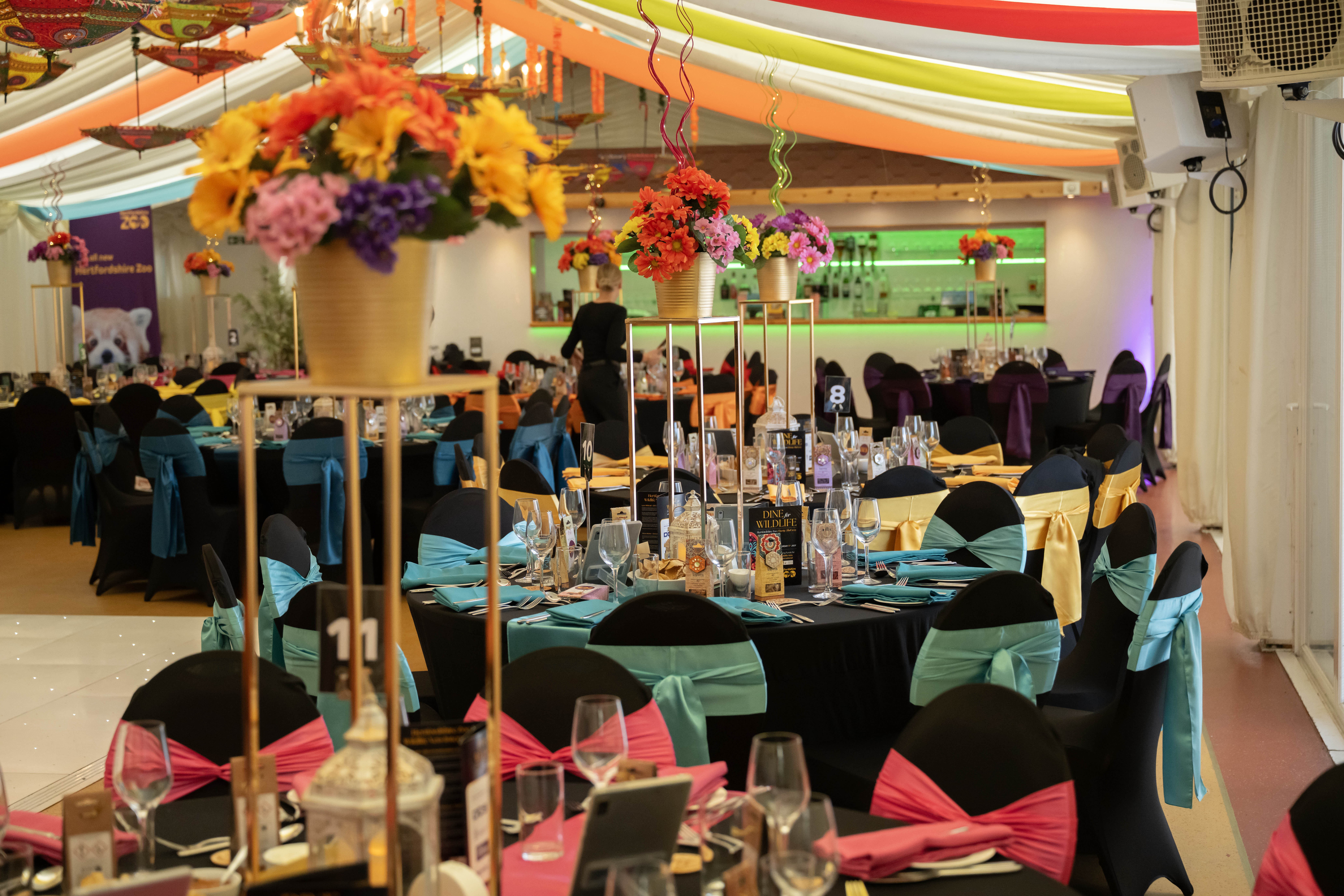 Hertfordshire Zoo event space with vibrant decor for corporate gatherings and celebrations