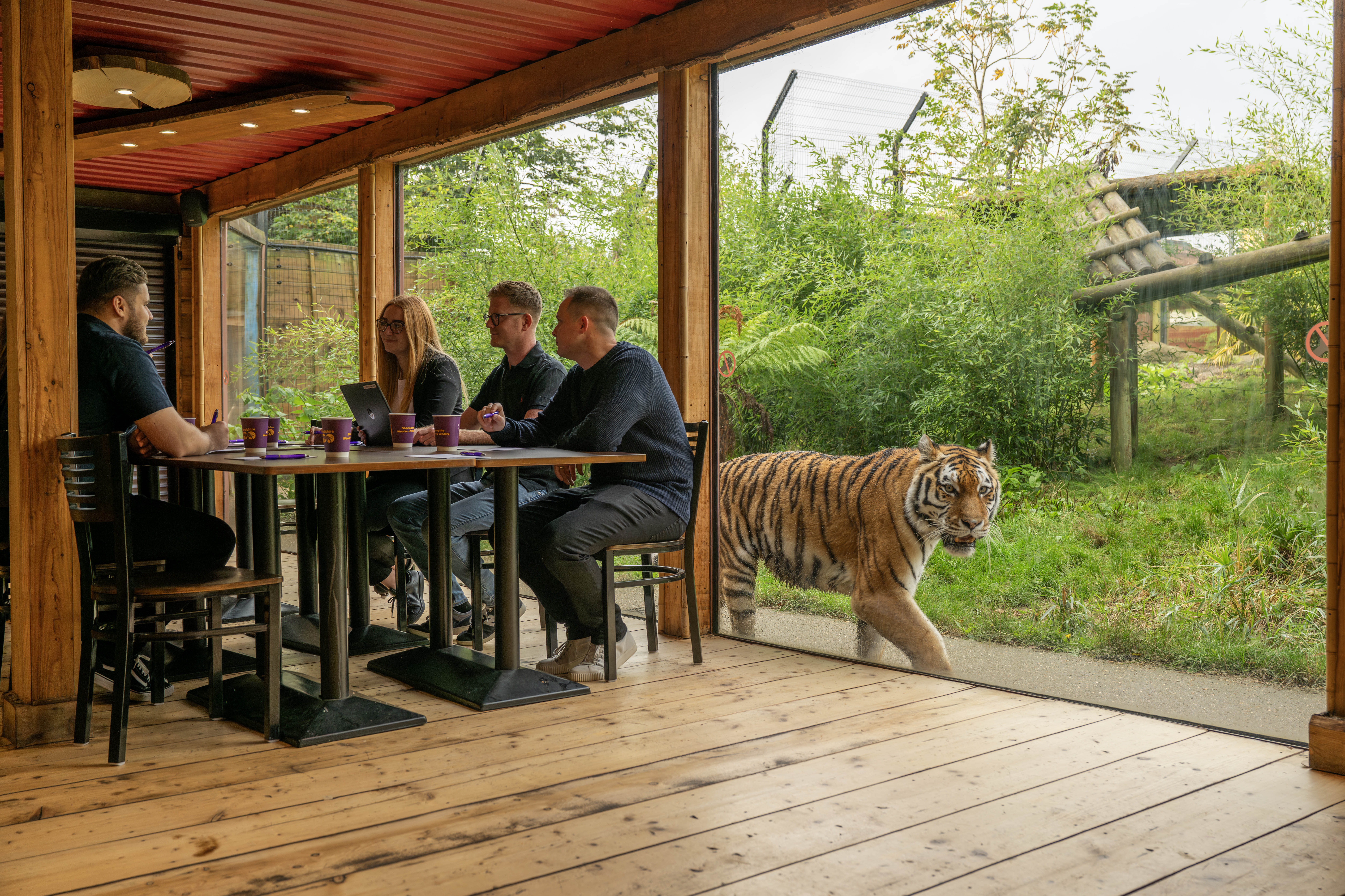Tiger Venue at Hertfordshire Zoo: Glass-walled meeting space for corporate events and team-building.