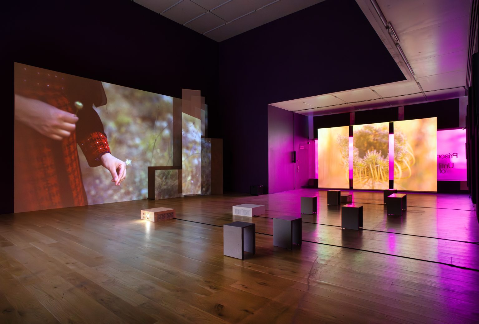 Modern event space at Nottingham Contemporary with vibrant projections for workshops.