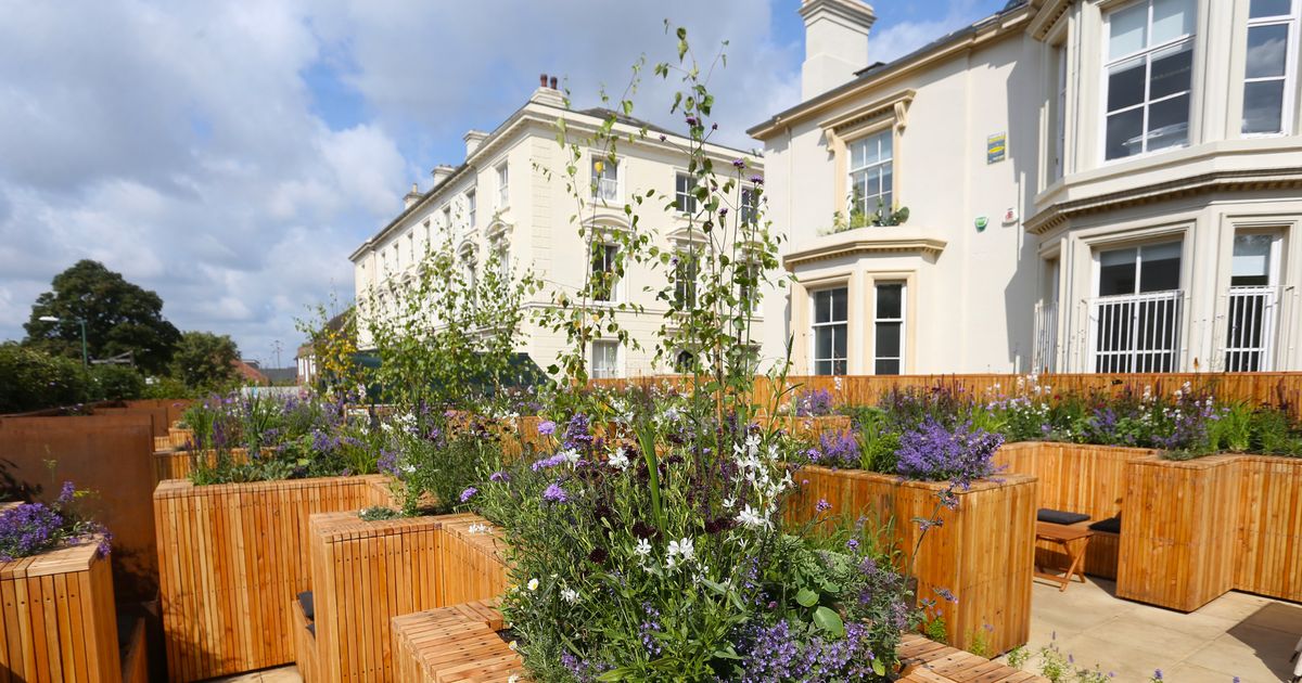 Hidden Rooftop Terrace at The Angel Microbrewery, ideal for outdoor events and meetings.