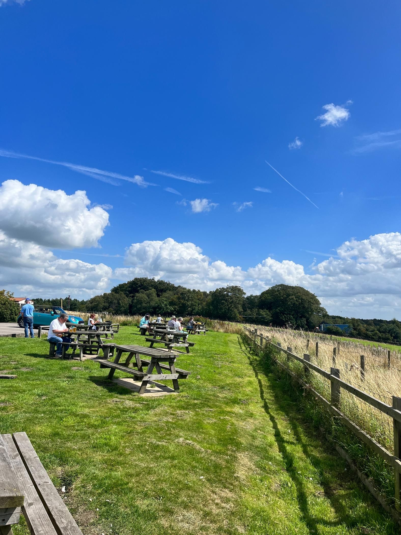 Beer garden picnic tables, corporate event, team building