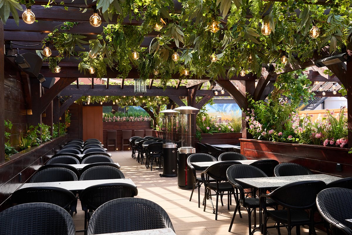 Rooftop Terrace event, greenery, string lights, wedding