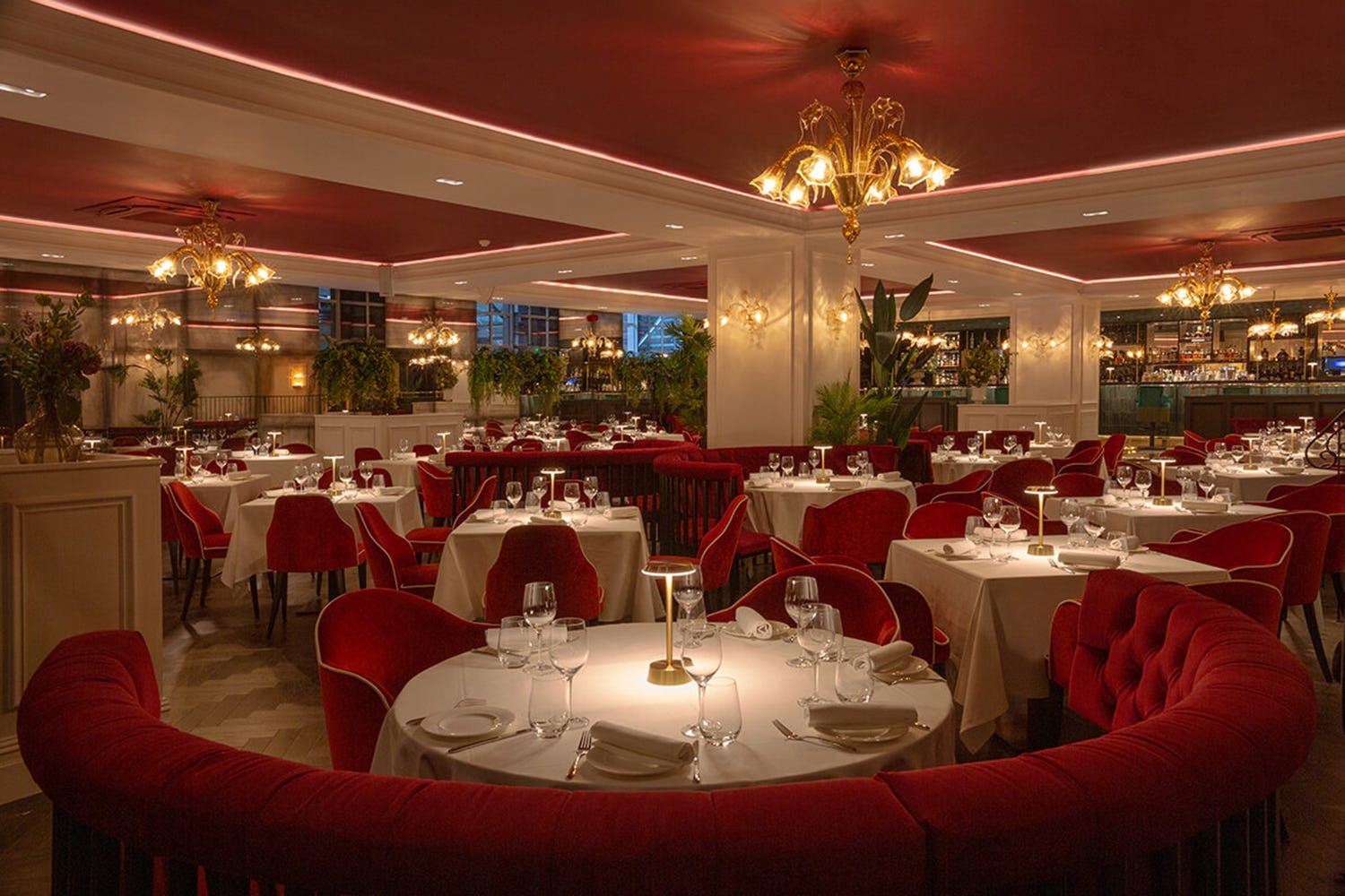 Naples fine dining event: red velvet, chandeliers, corporate dinner