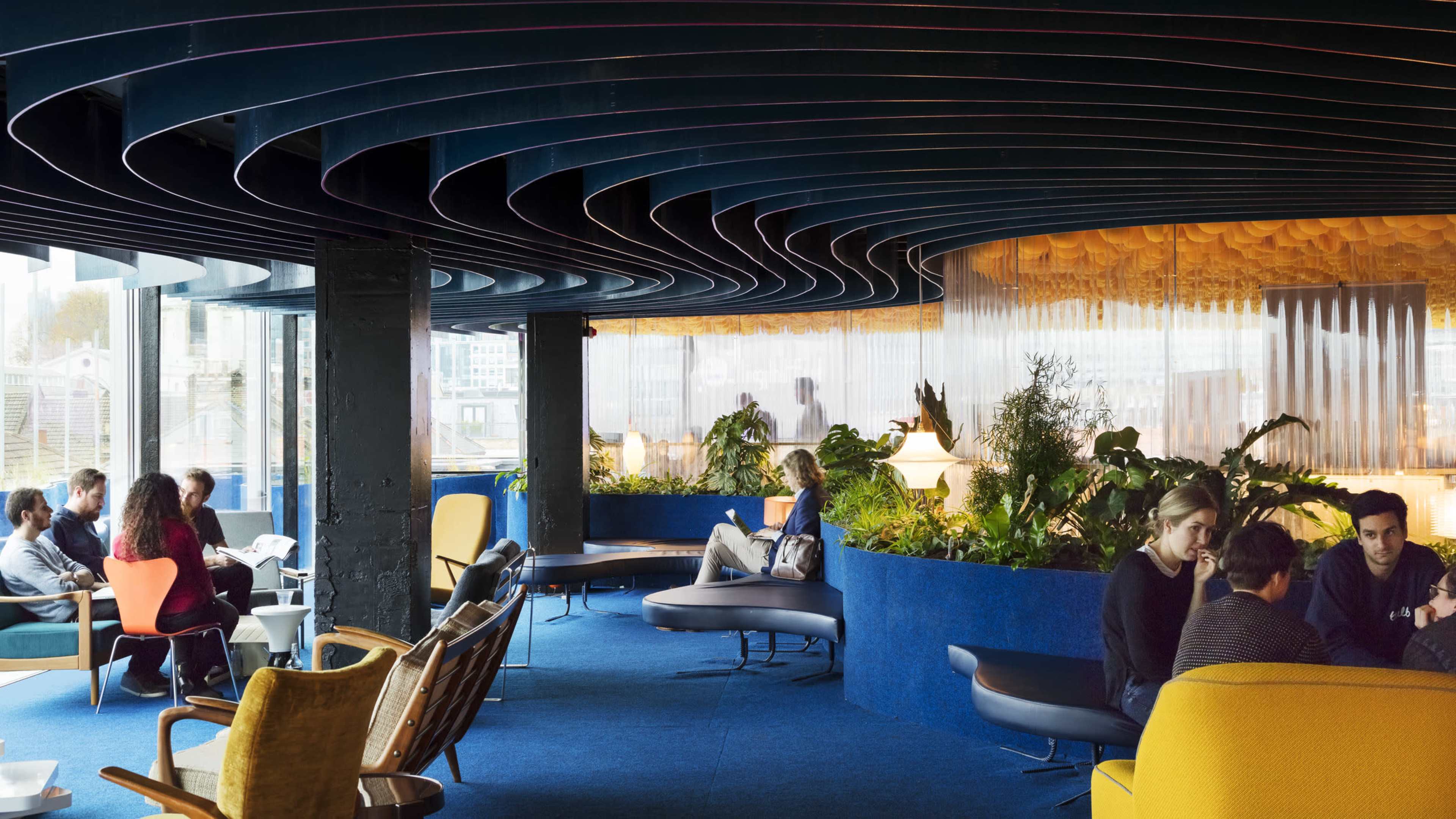 Modern venue lounge, organic ceiling, blue carpet, networking event