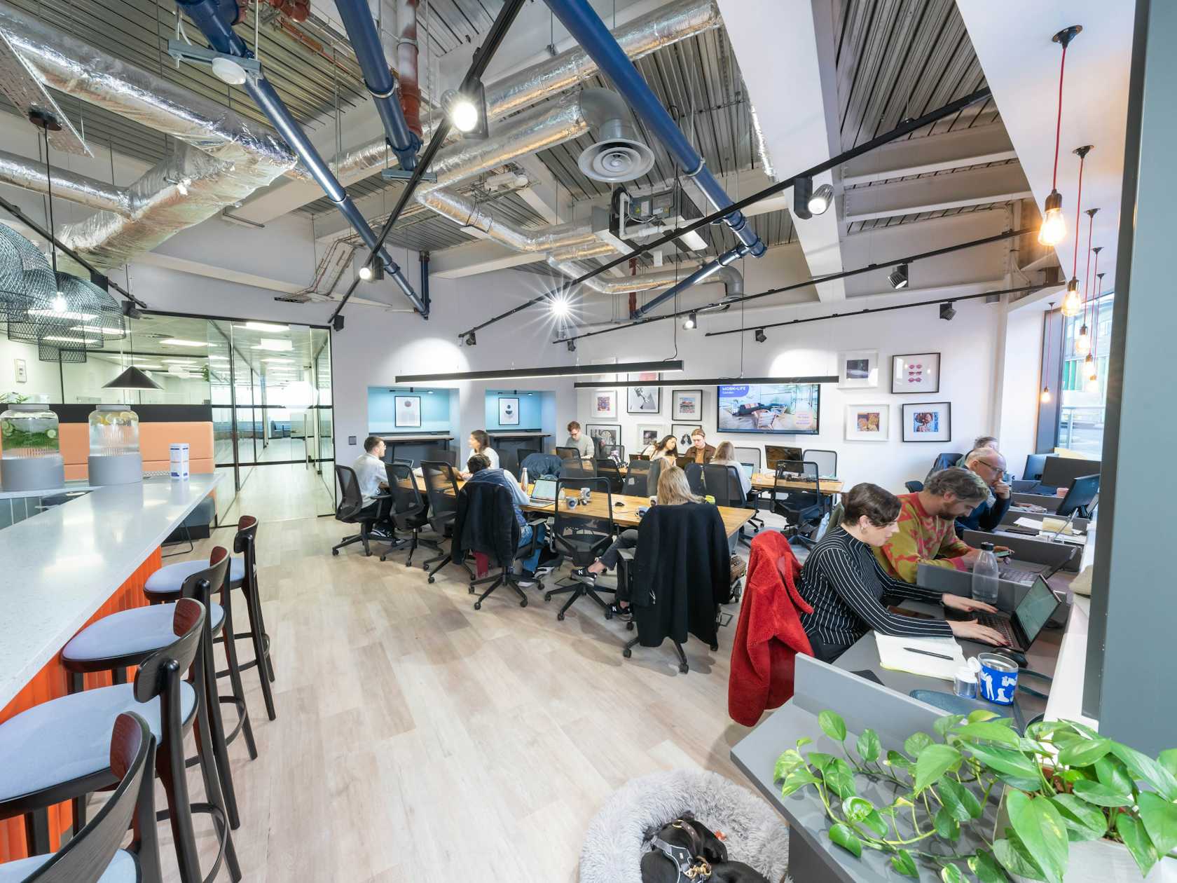 Networking / Event Space - 0df73bc9-c006-4ad4-a8e7-89ff6316b24e.jpeg