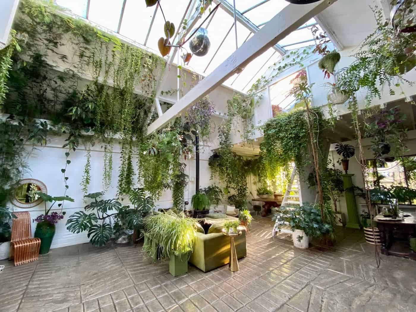 Glasshouse retreat, biophilic event, green meeting space