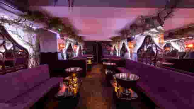 The Rex Rooms