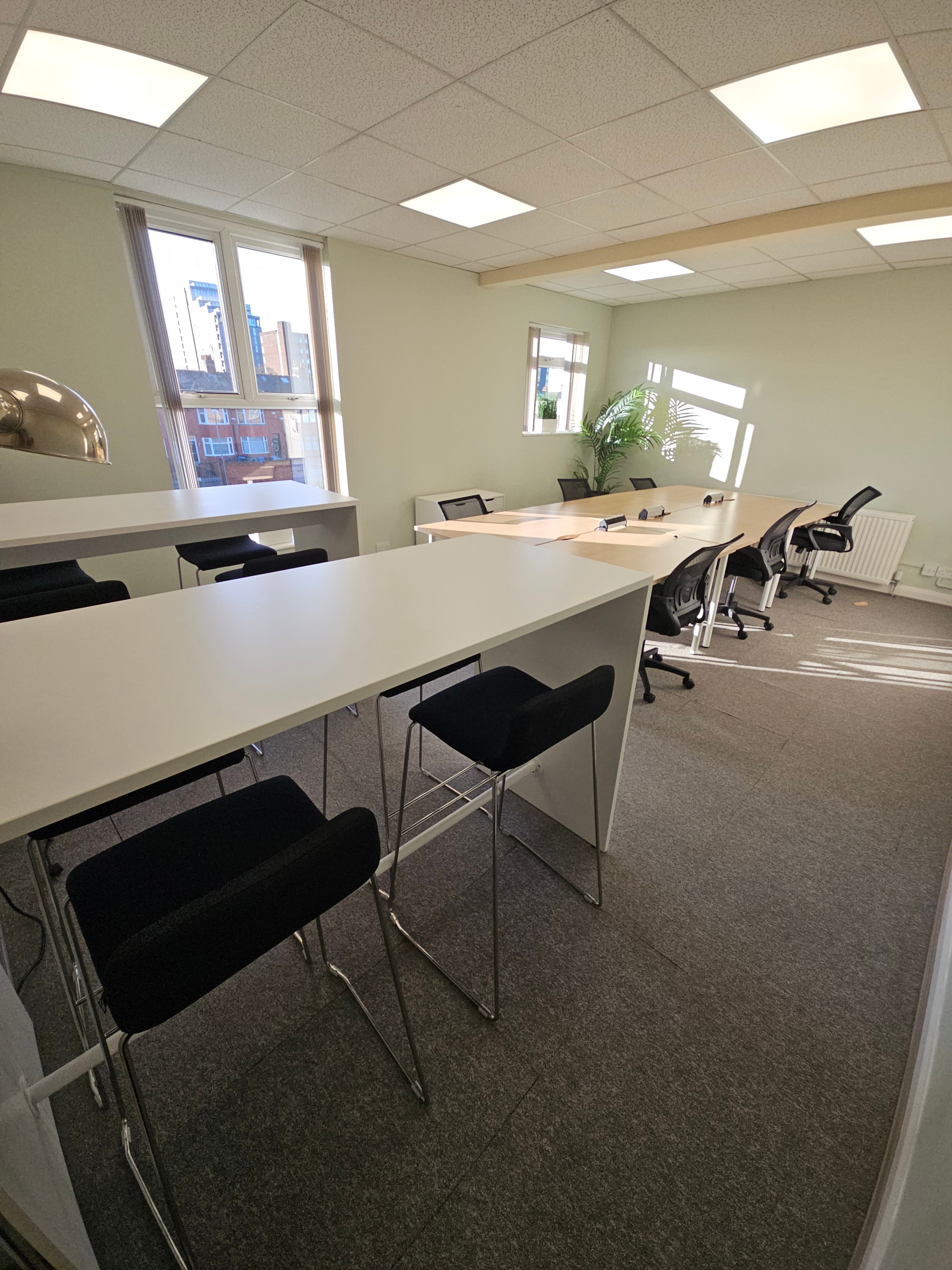 Democracy House - image 4